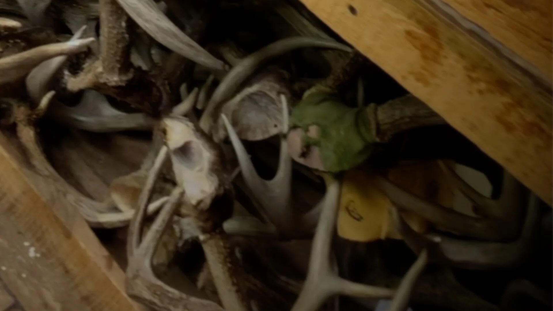 antler-bins.jpg
