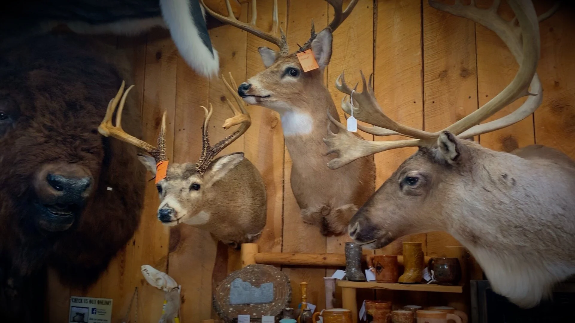 three-deer.jpg