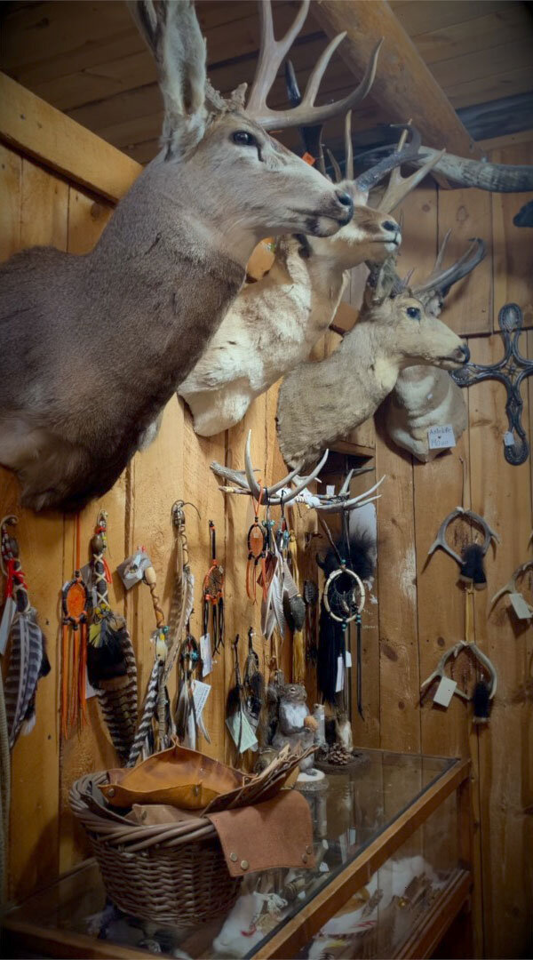 deer-mounts.jpg