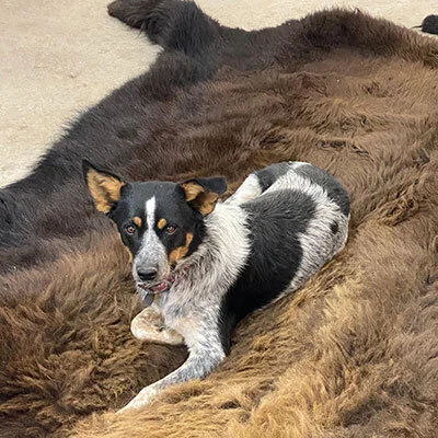 Photo Credit: Sandy Meyer