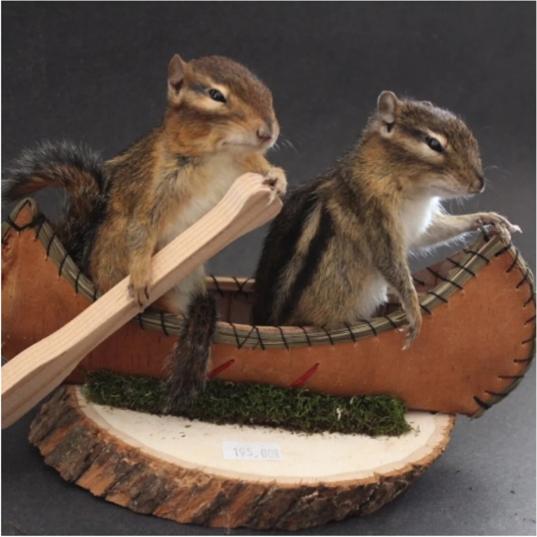 Chipmunk Canoe Mount (Double)