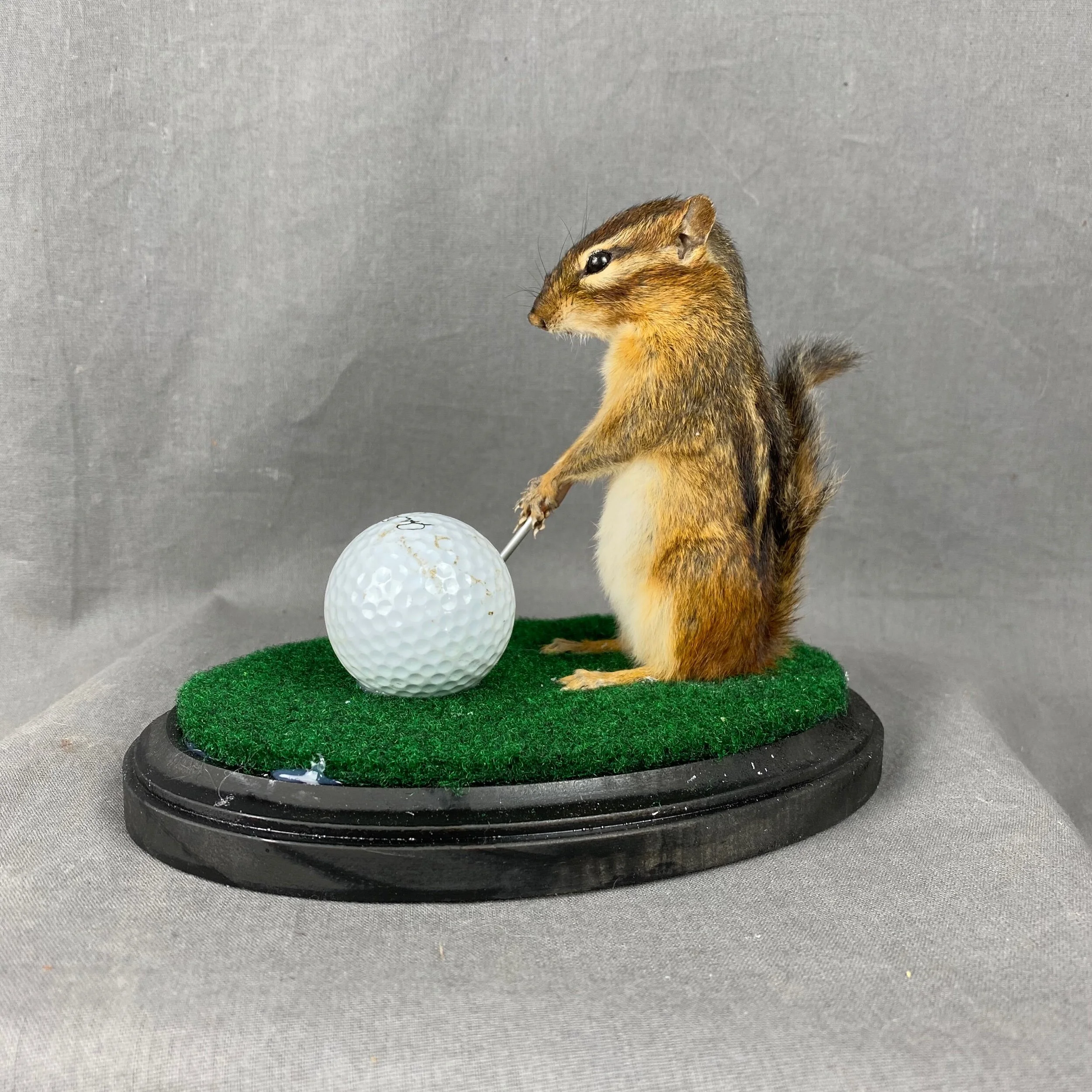 2630AC41-0287-4107-B1CD-02F667FDE9F6