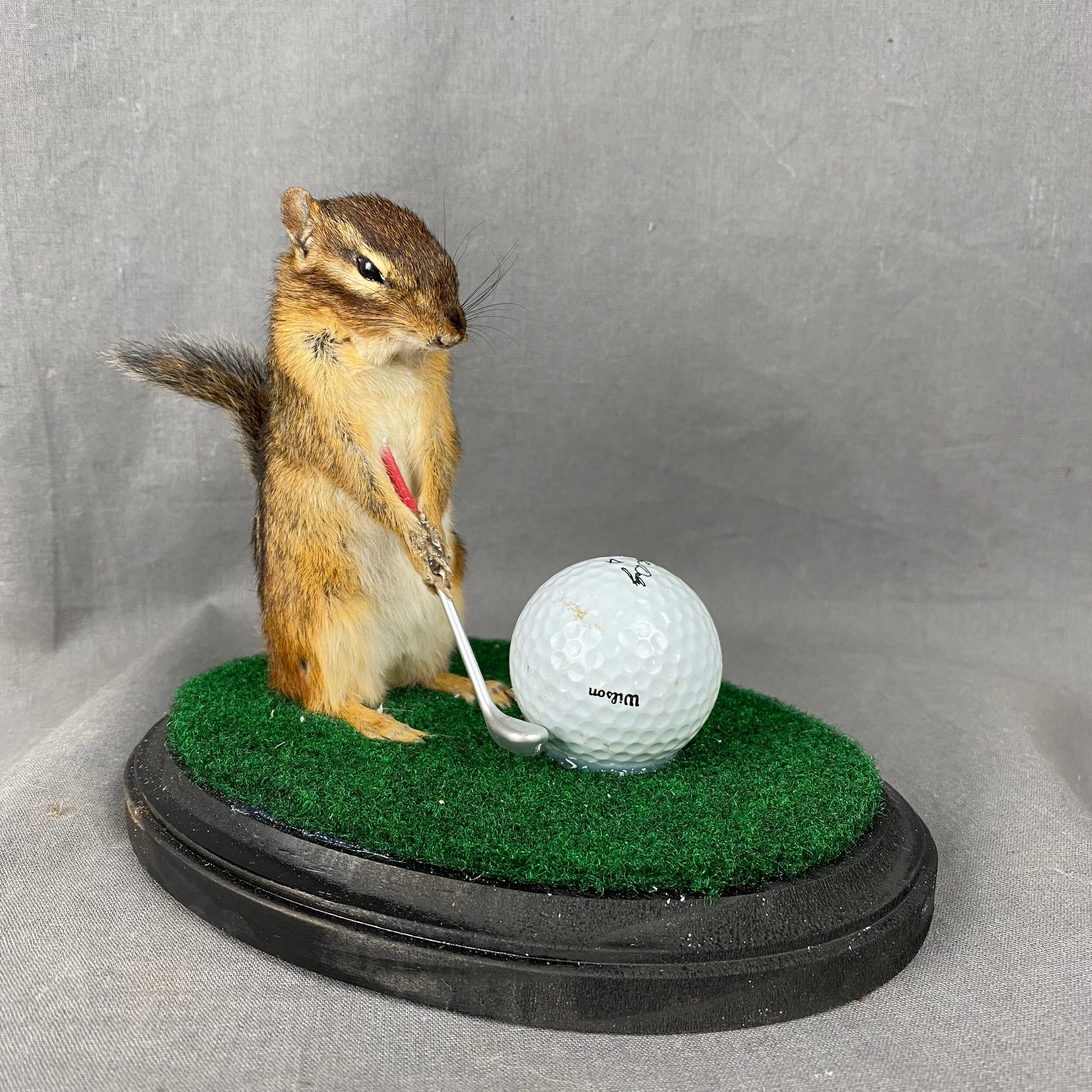 702570C0-815B-4D8A-BCAC-38839394E50C