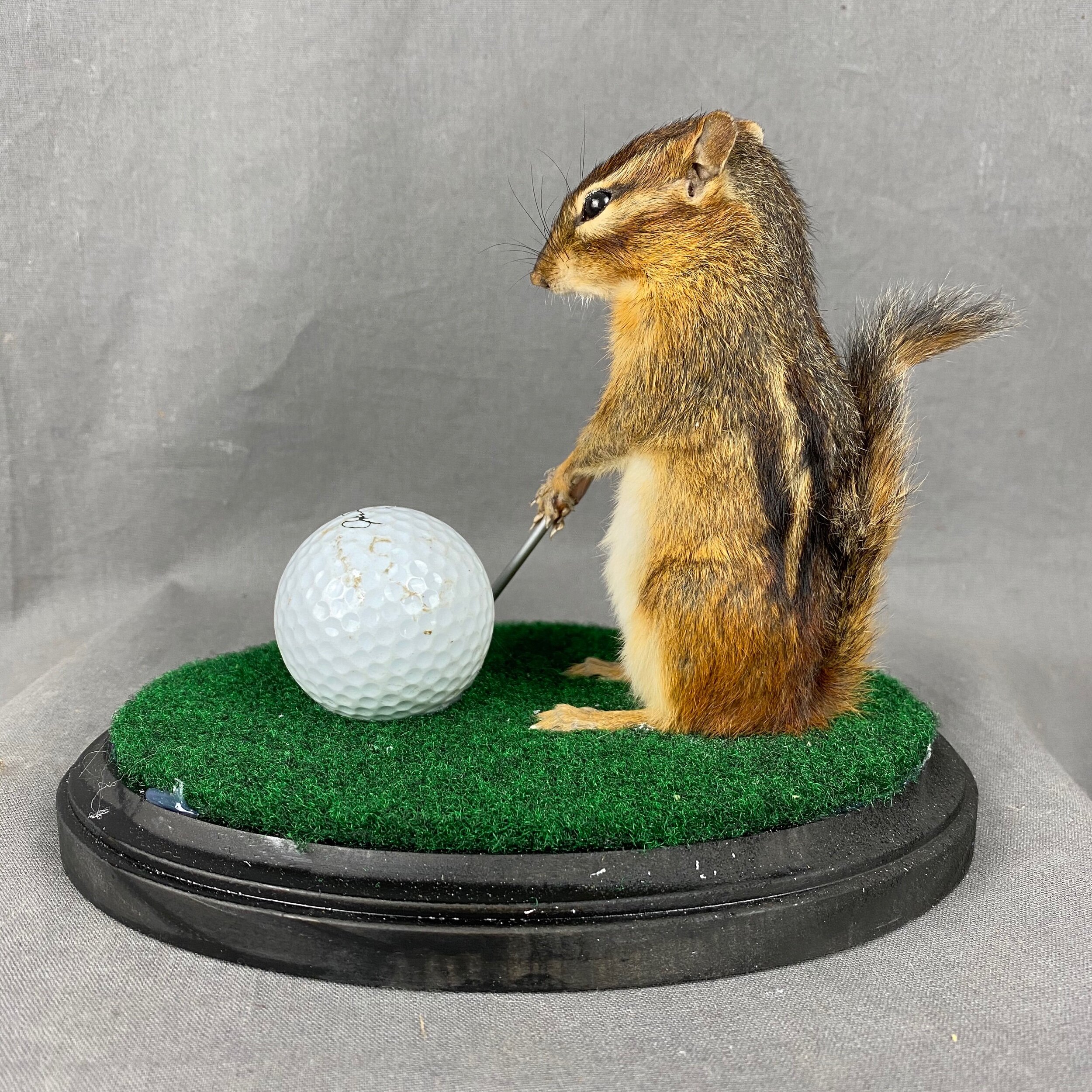 E6A71BDC-EB31-400C-9280-C4CCFACAB0A3