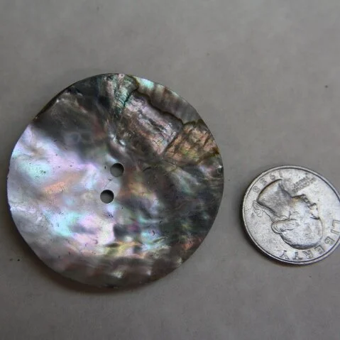 Abalone Disc 2 inch