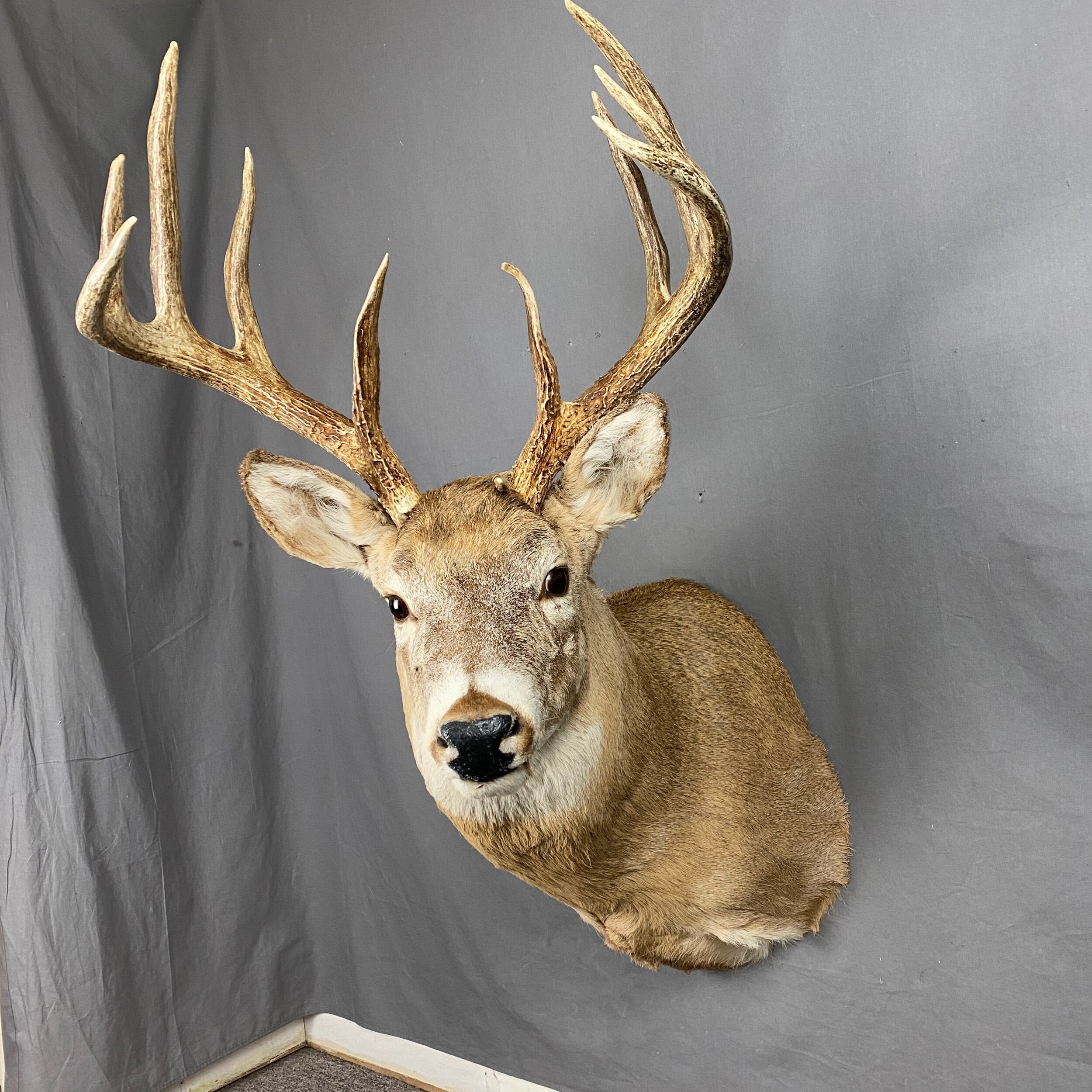 18B2968F-43D4-4228-9D39-4FC84C756219