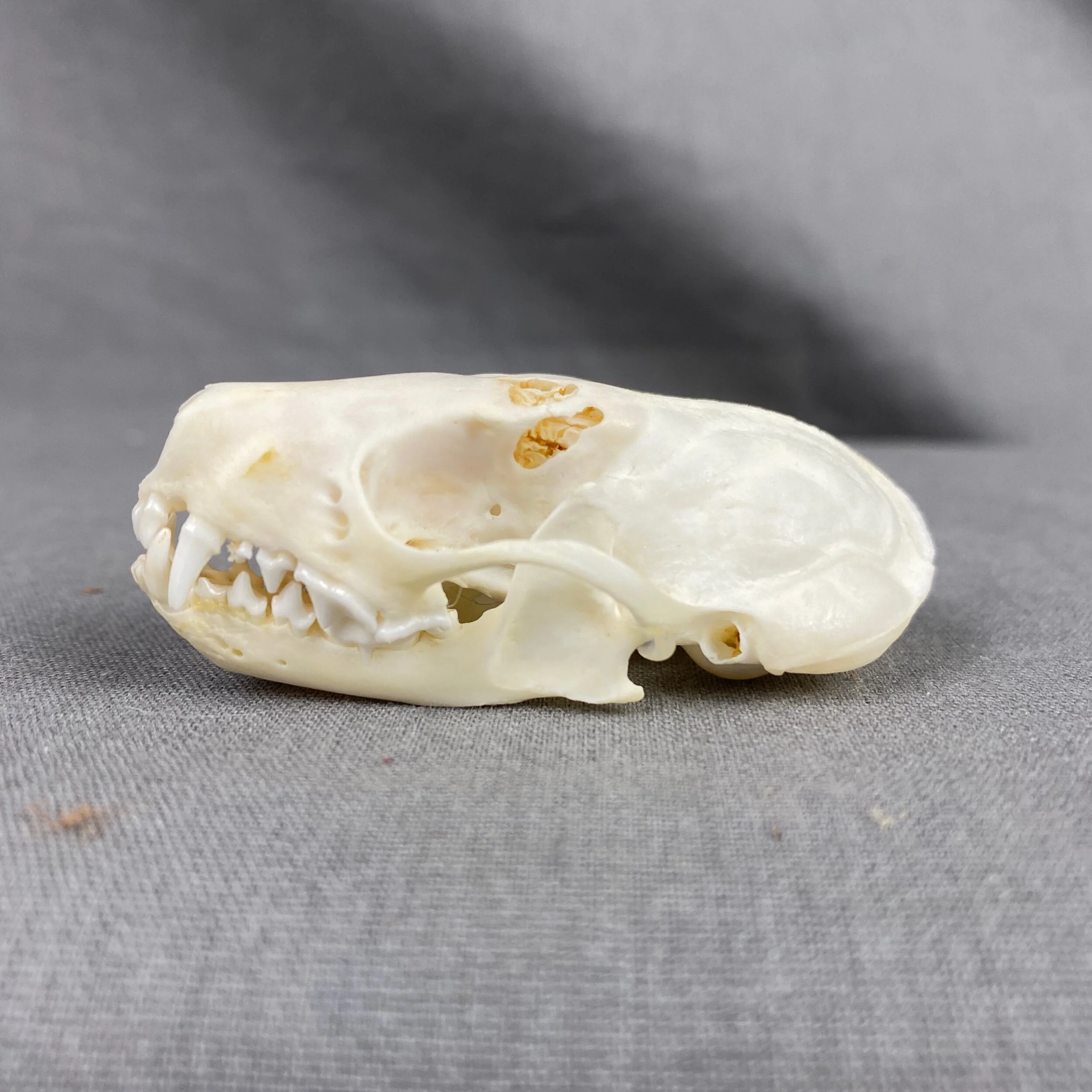 2E878157-5CCD-486C-B8F4-A25CAAA16D2D