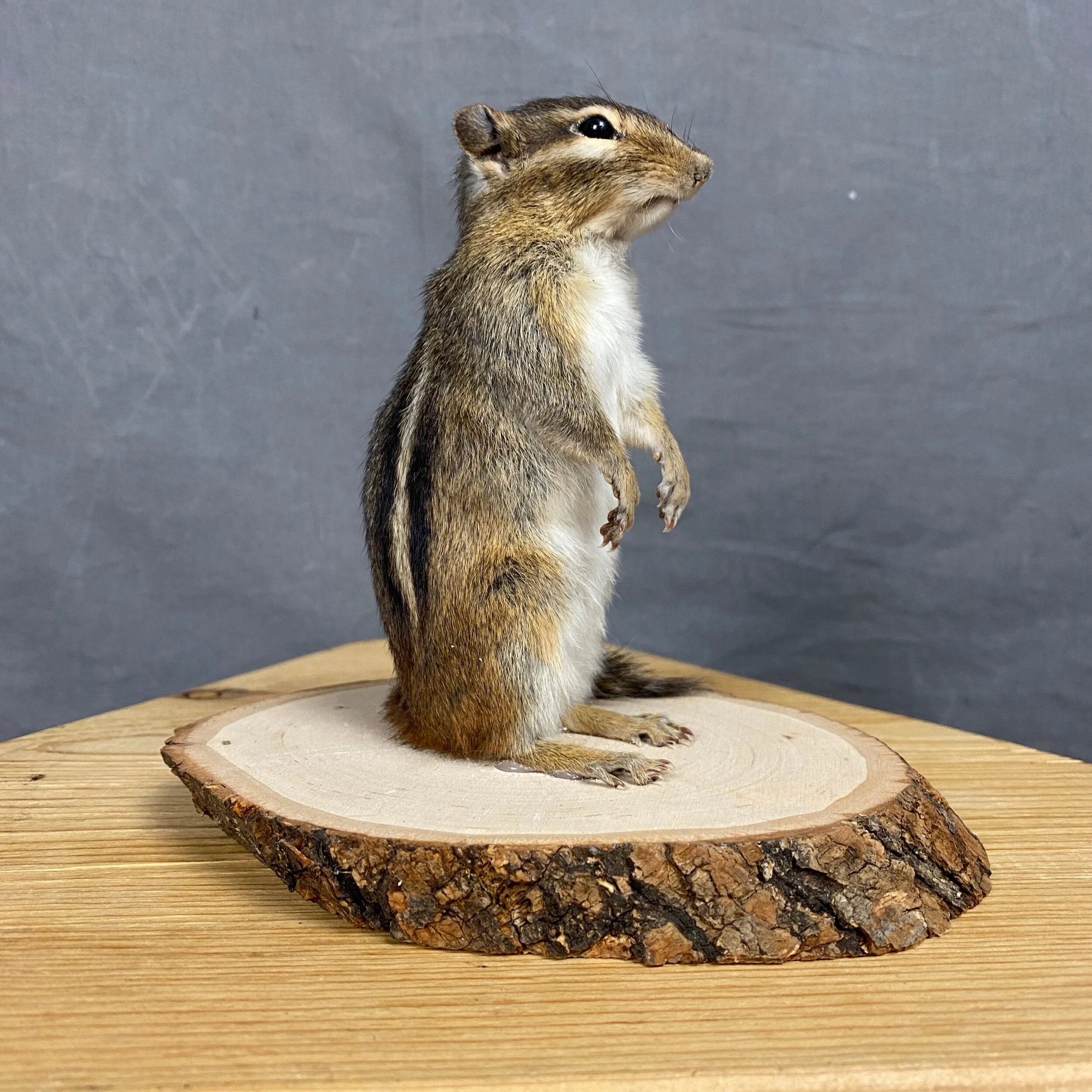 EBB4541F-907D-4C87-B26C-B8BB95F511C1