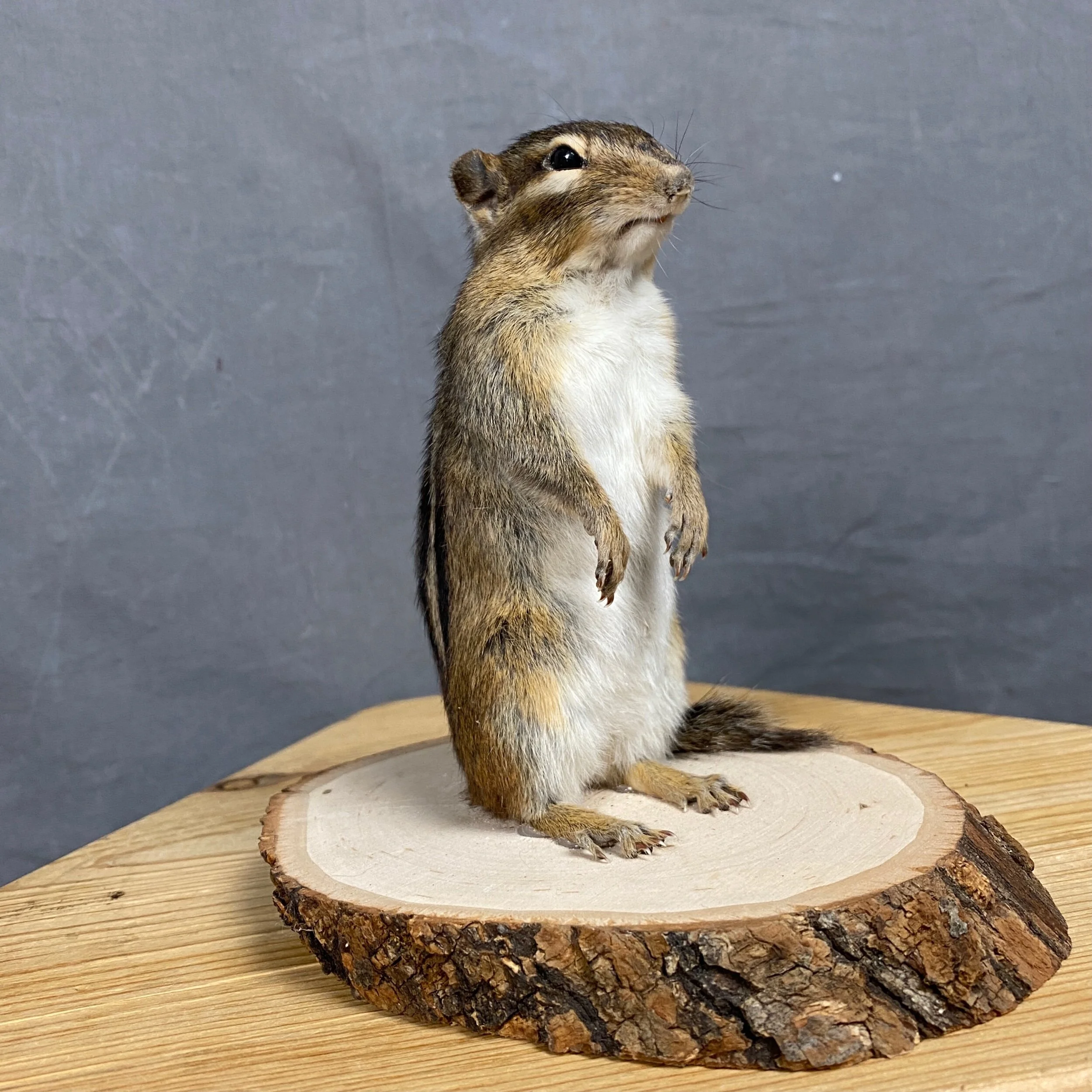 34ADC8A1-457B-4224-B855-95DBAE67E403