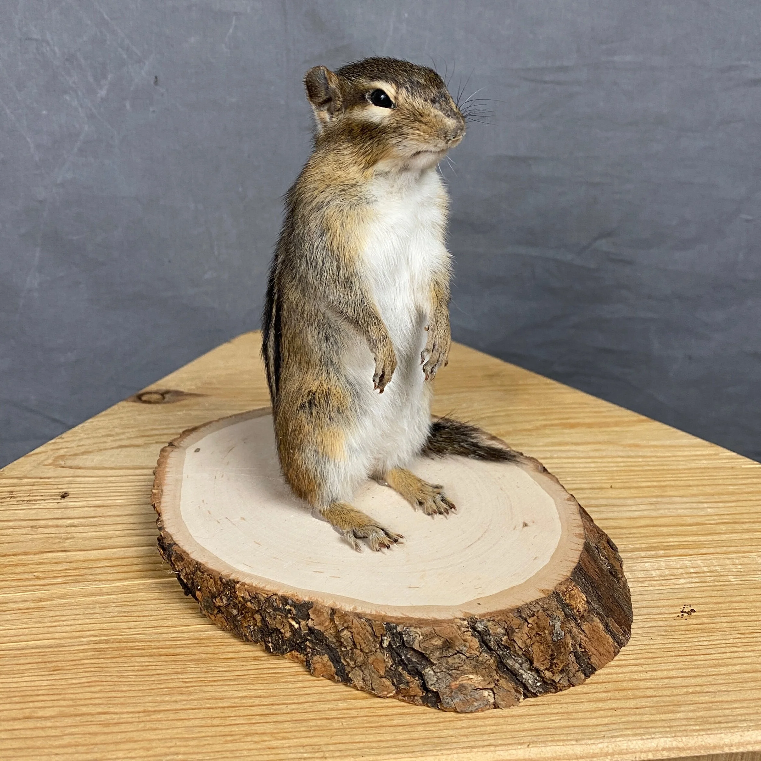 4D5F7FA8-C0EB-4C89-A2E5-362C0459069B