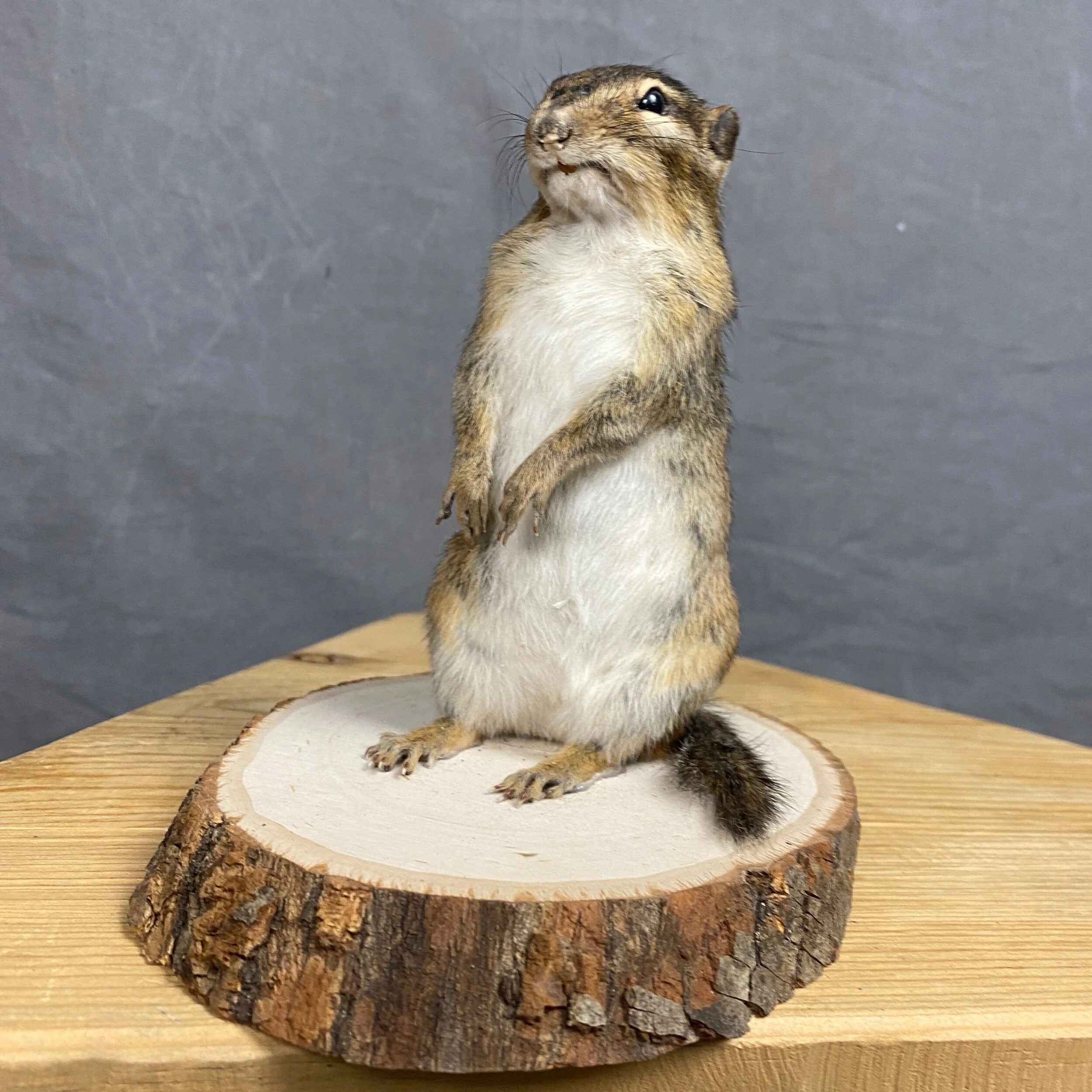 8267AE6D-C71F-4BB0-9F59-3C181BB004C0