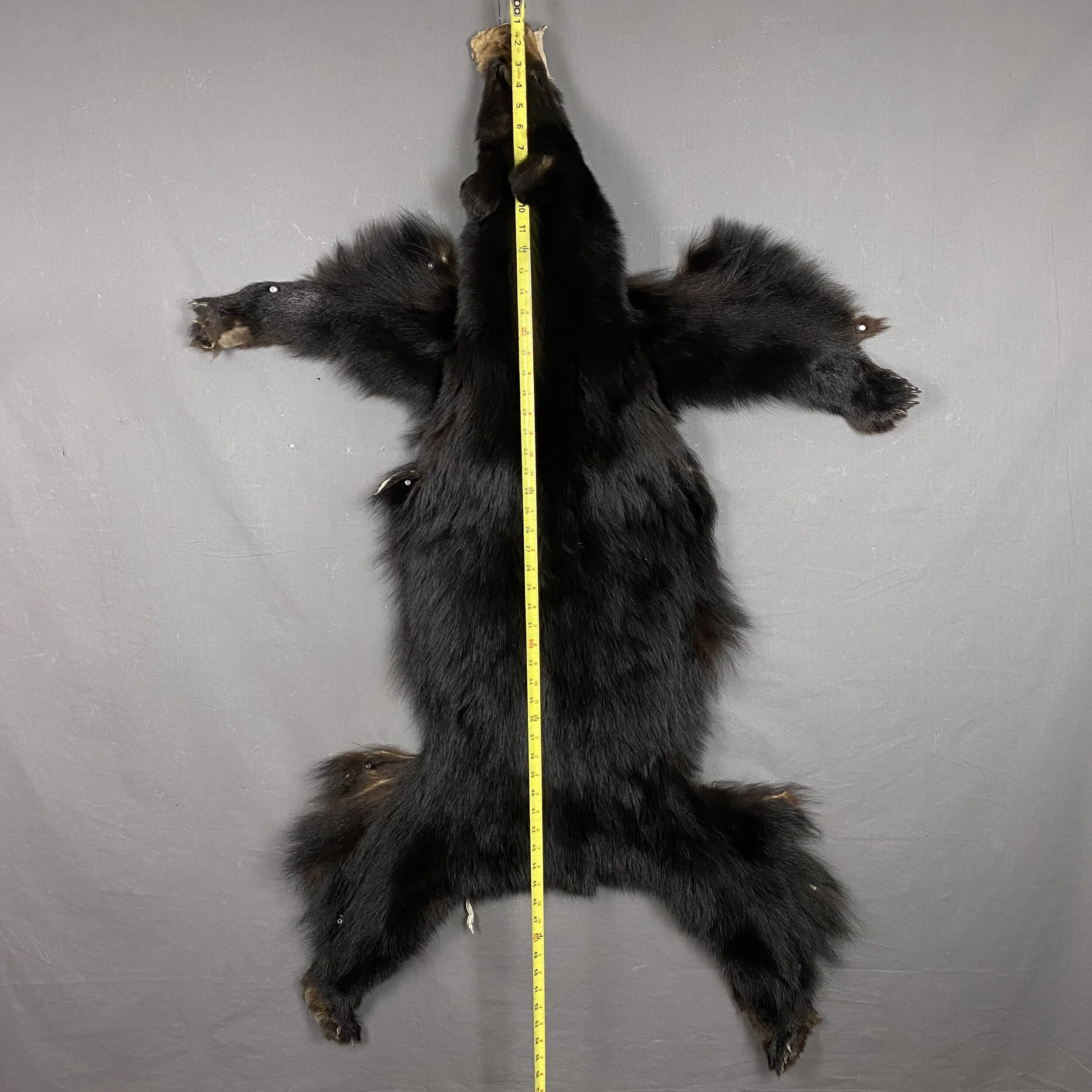 Furs for Sale — Claw, Antler & Hide Co.