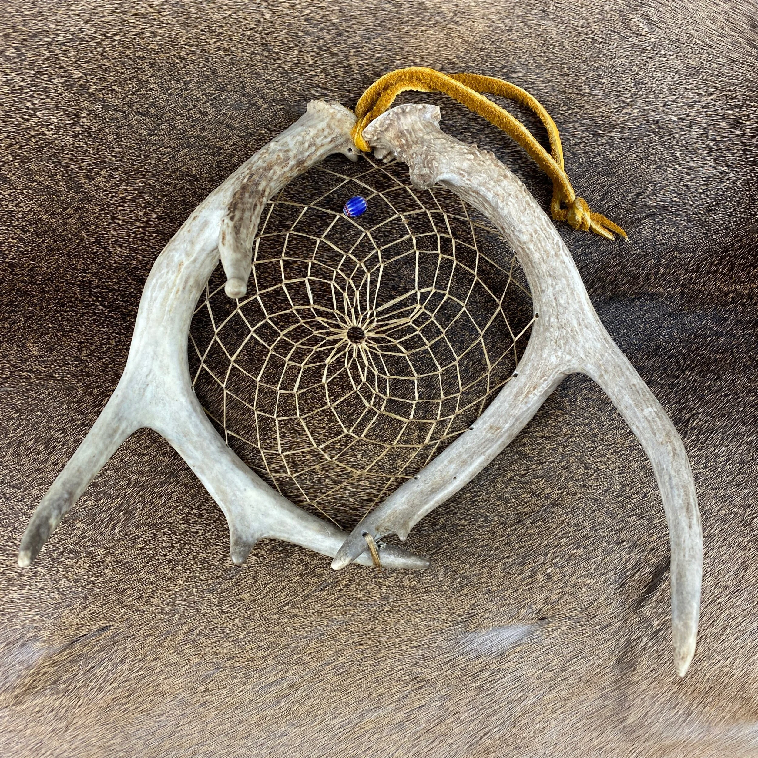 7D14599D-A3F4-4D3C-BCD7-7F523FD33A79