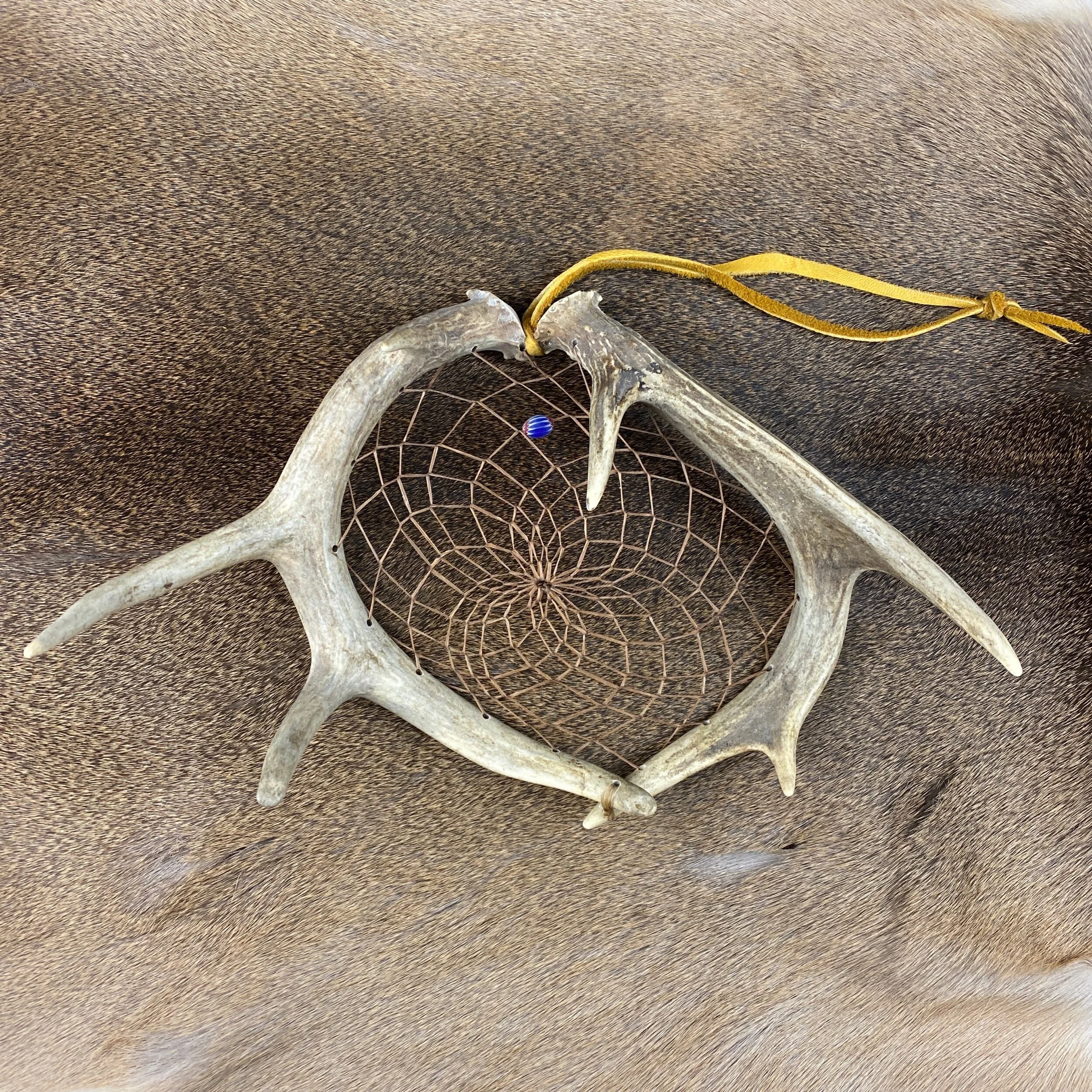 D56CC942-0031-49B1-87E0-E7A82704C44D