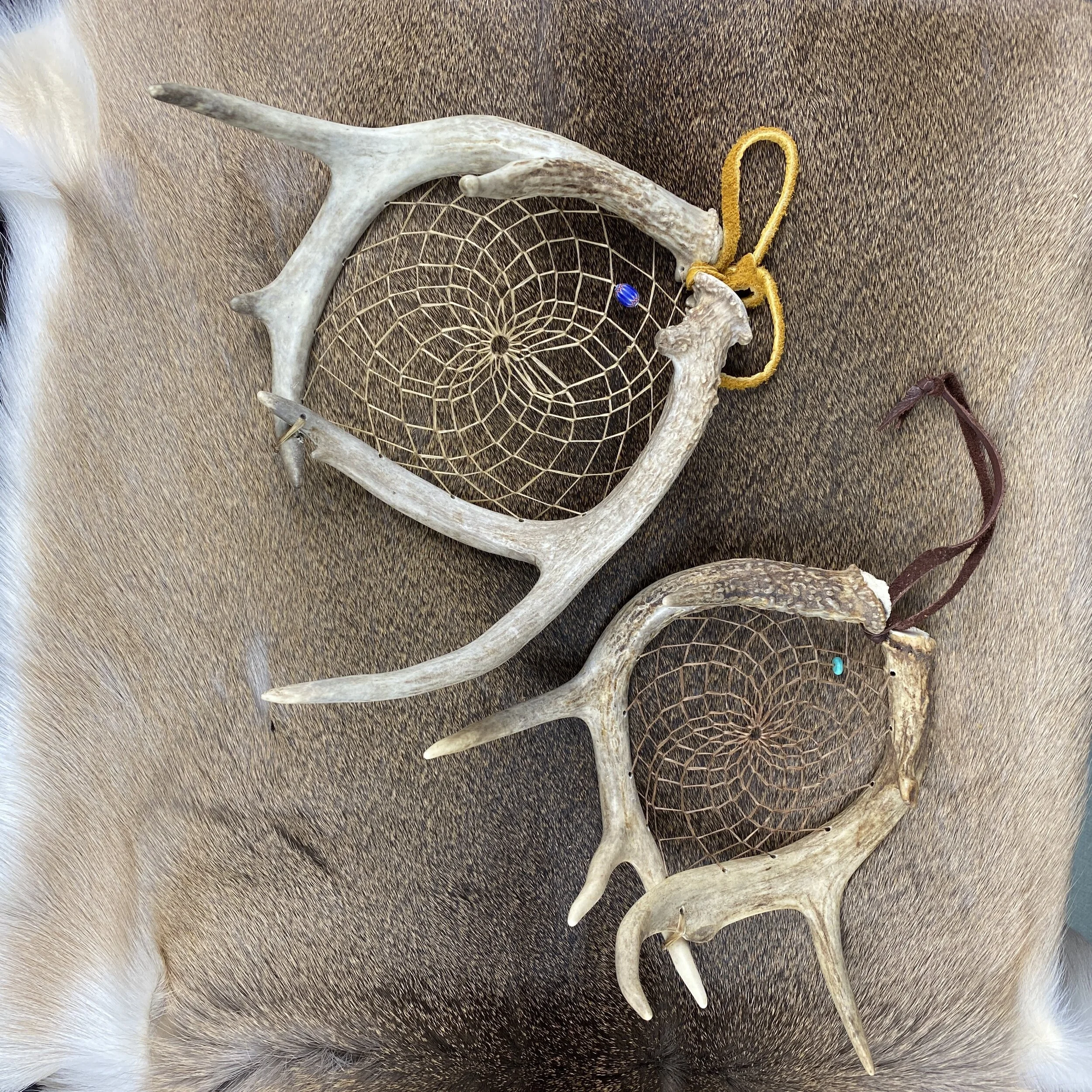Antler Dream Catcher
