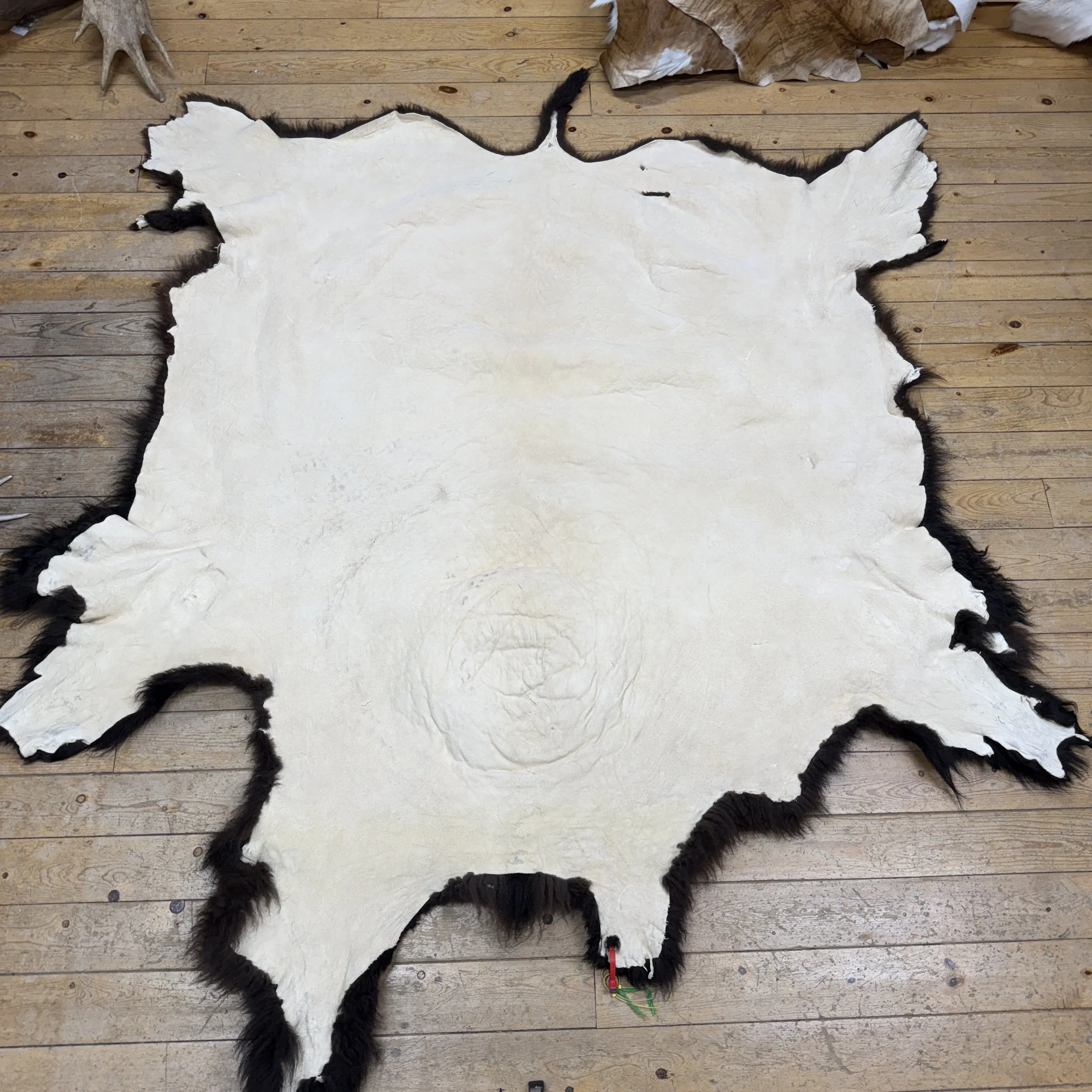 Buffalo Hide