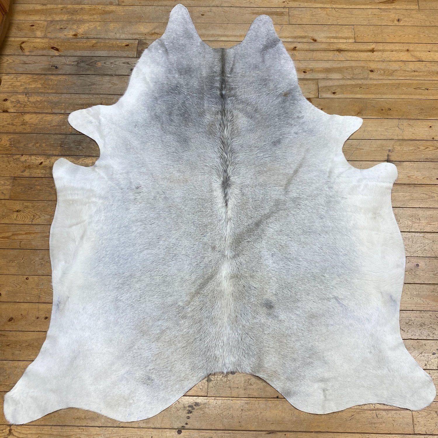 Cow Hides — Claw, Antler & Hide Co.