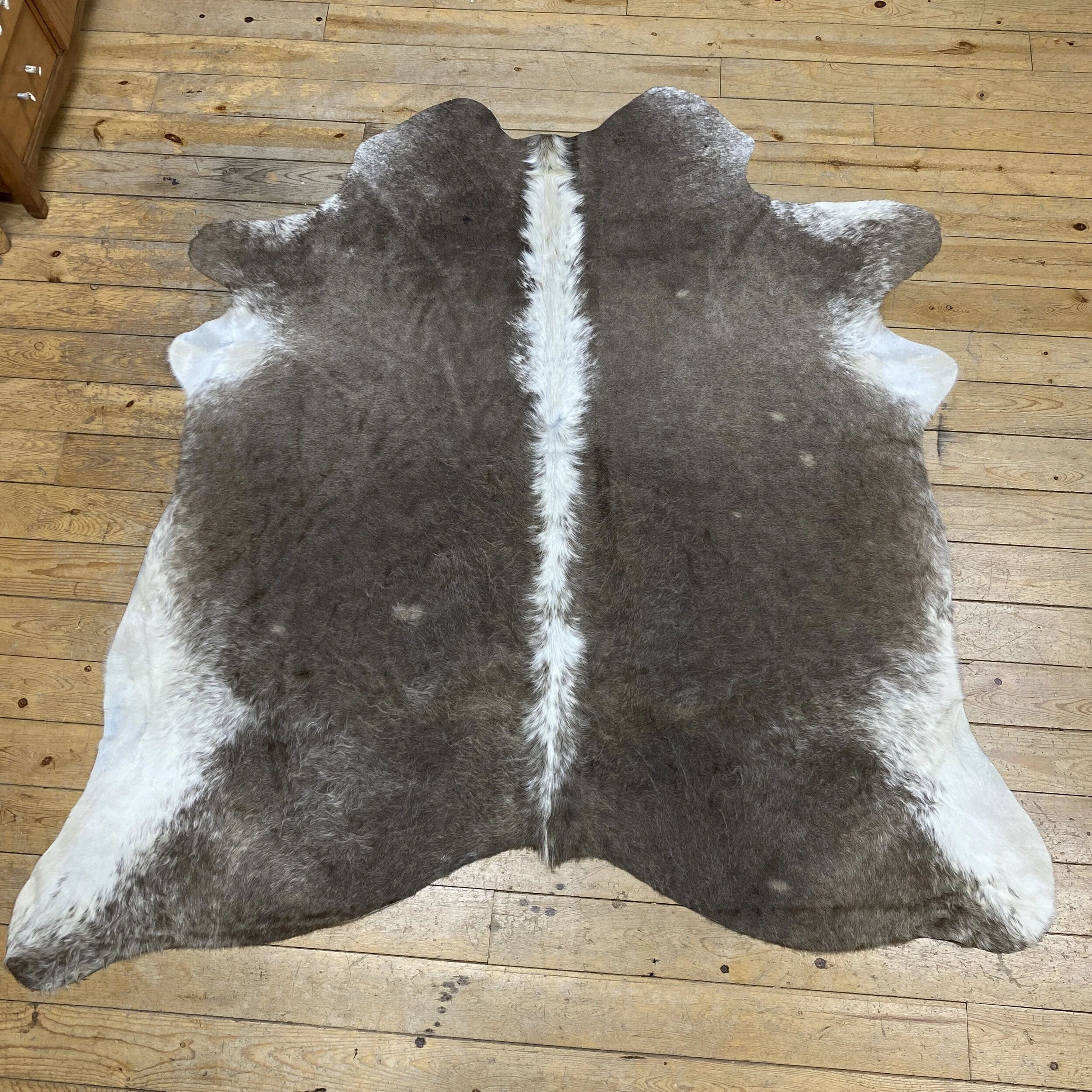 Cow Hides — Claw, Antler & Hide Co.