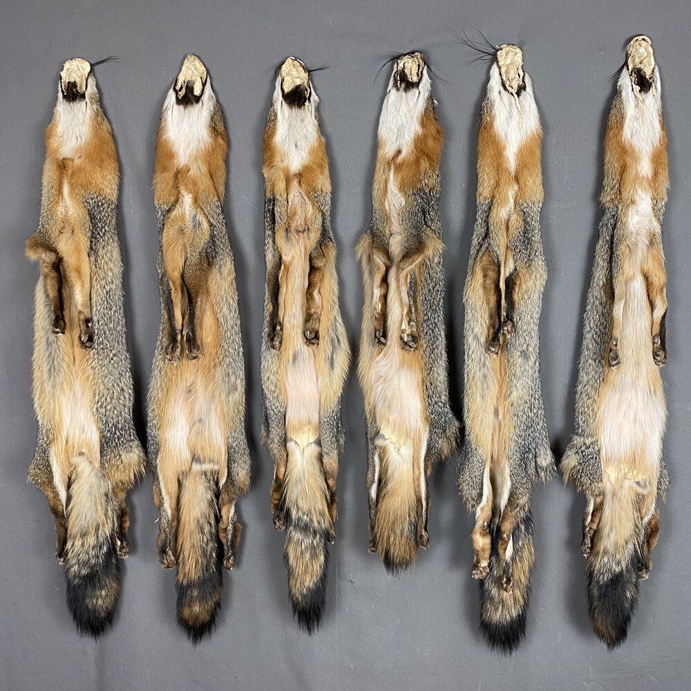 Gray Fox Hide — Claw, Antler & Hide Co.