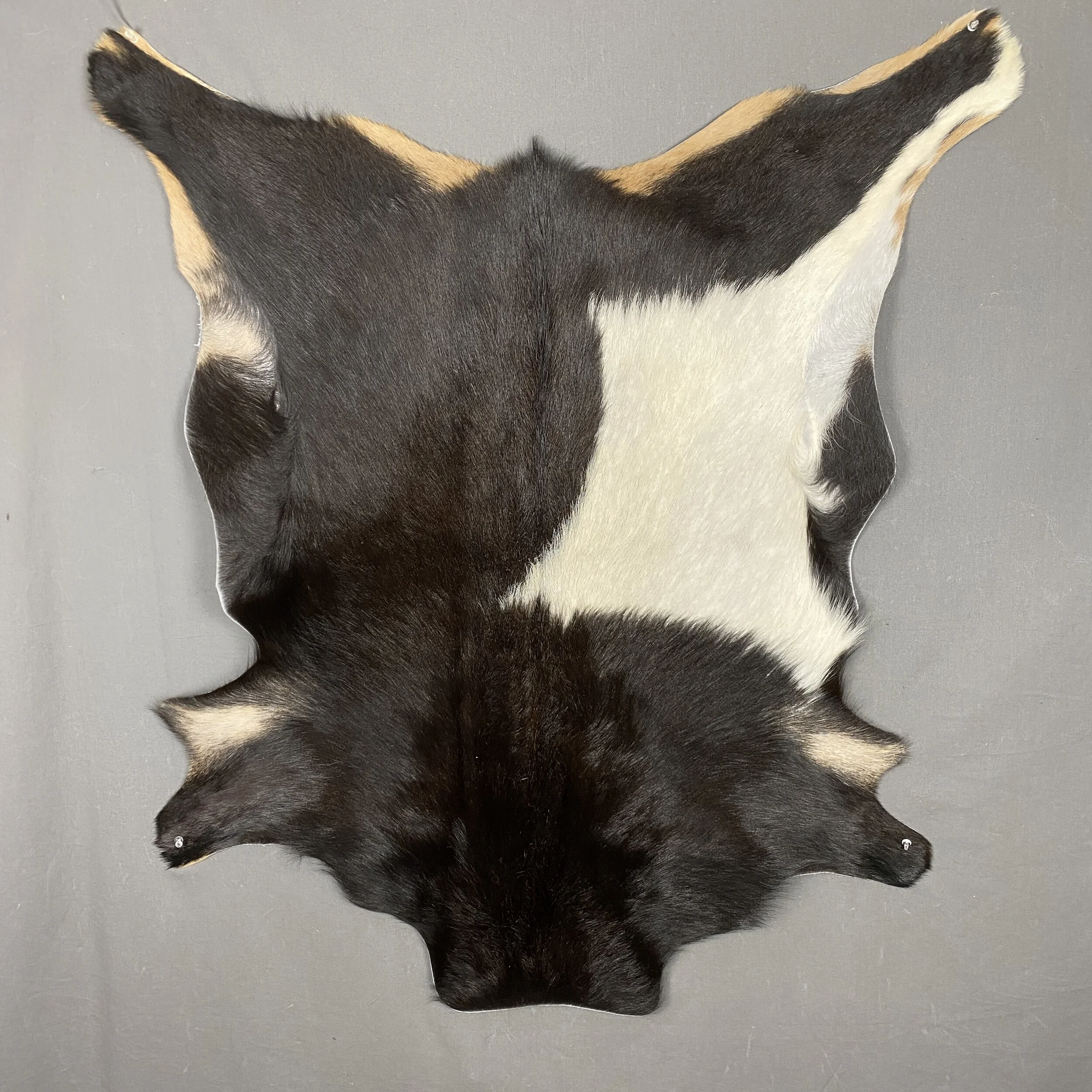 Rugs — Claw, Antler & Hide Co.