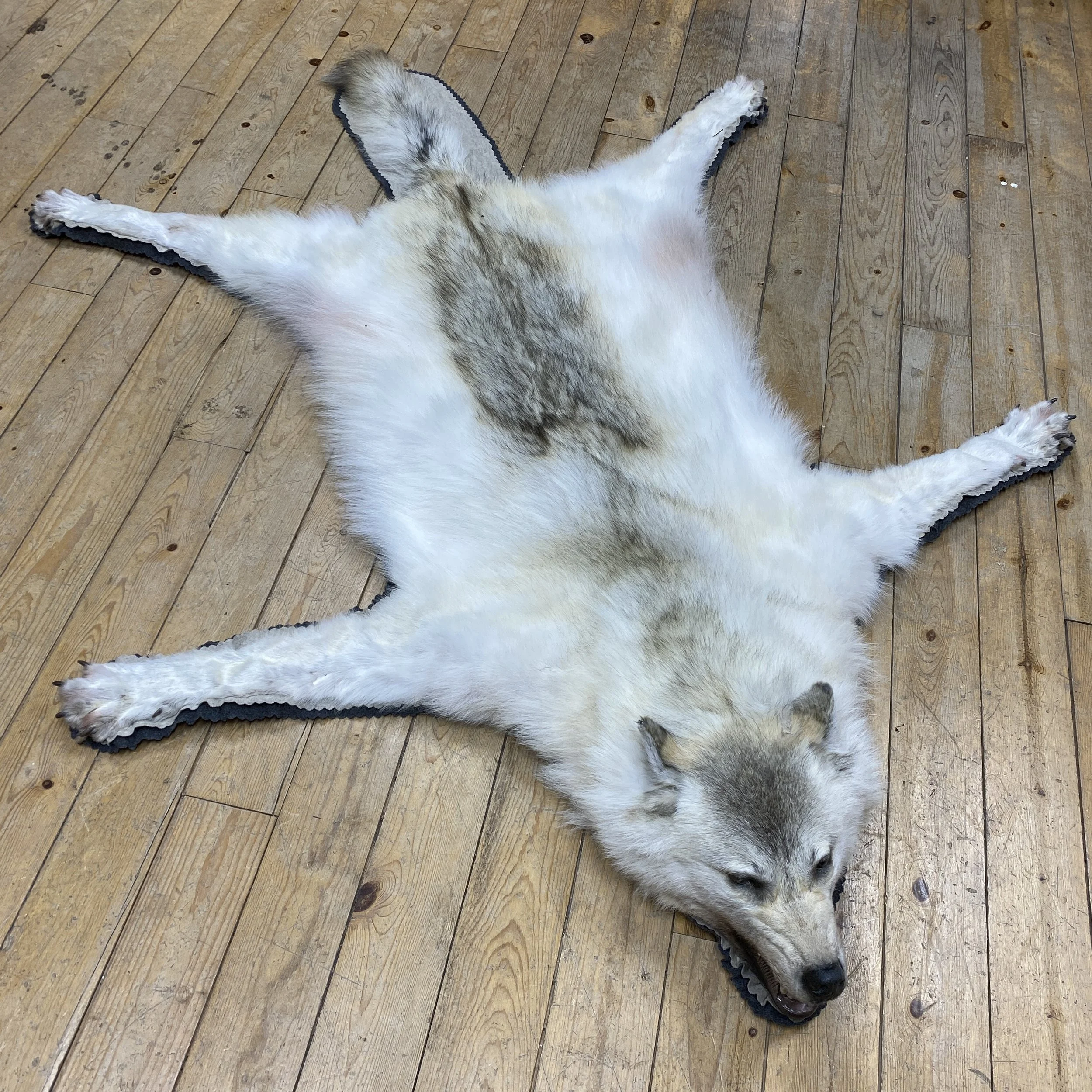 Wolf Rug