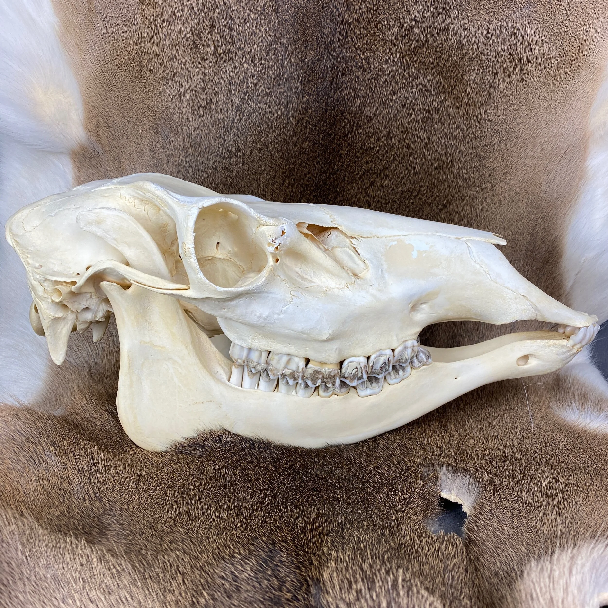 B4793EEF-ED26-4039-B7EB-D61CFB7951E3