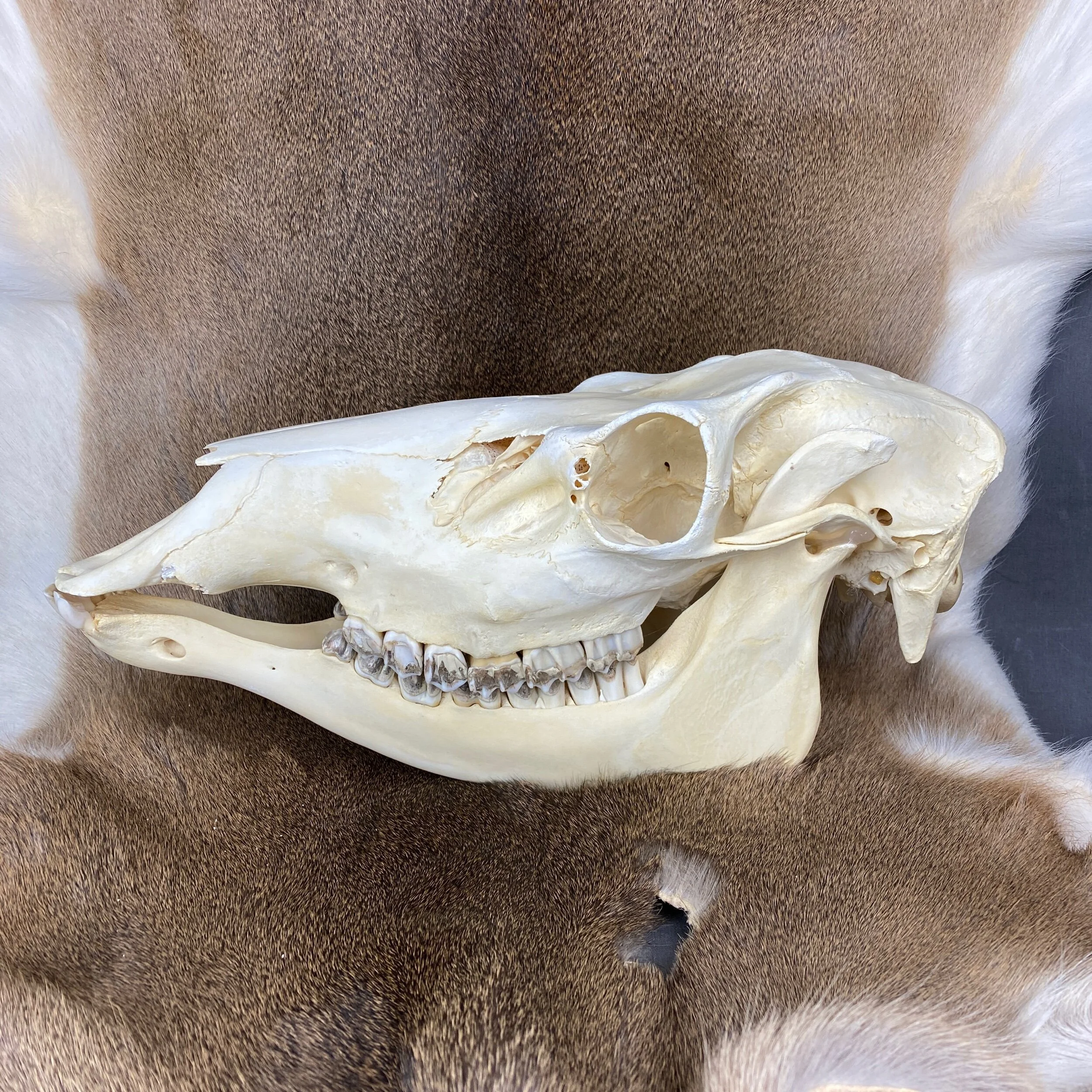 4D5EC0FC-0648-4350-BC97-3F9C031588EF