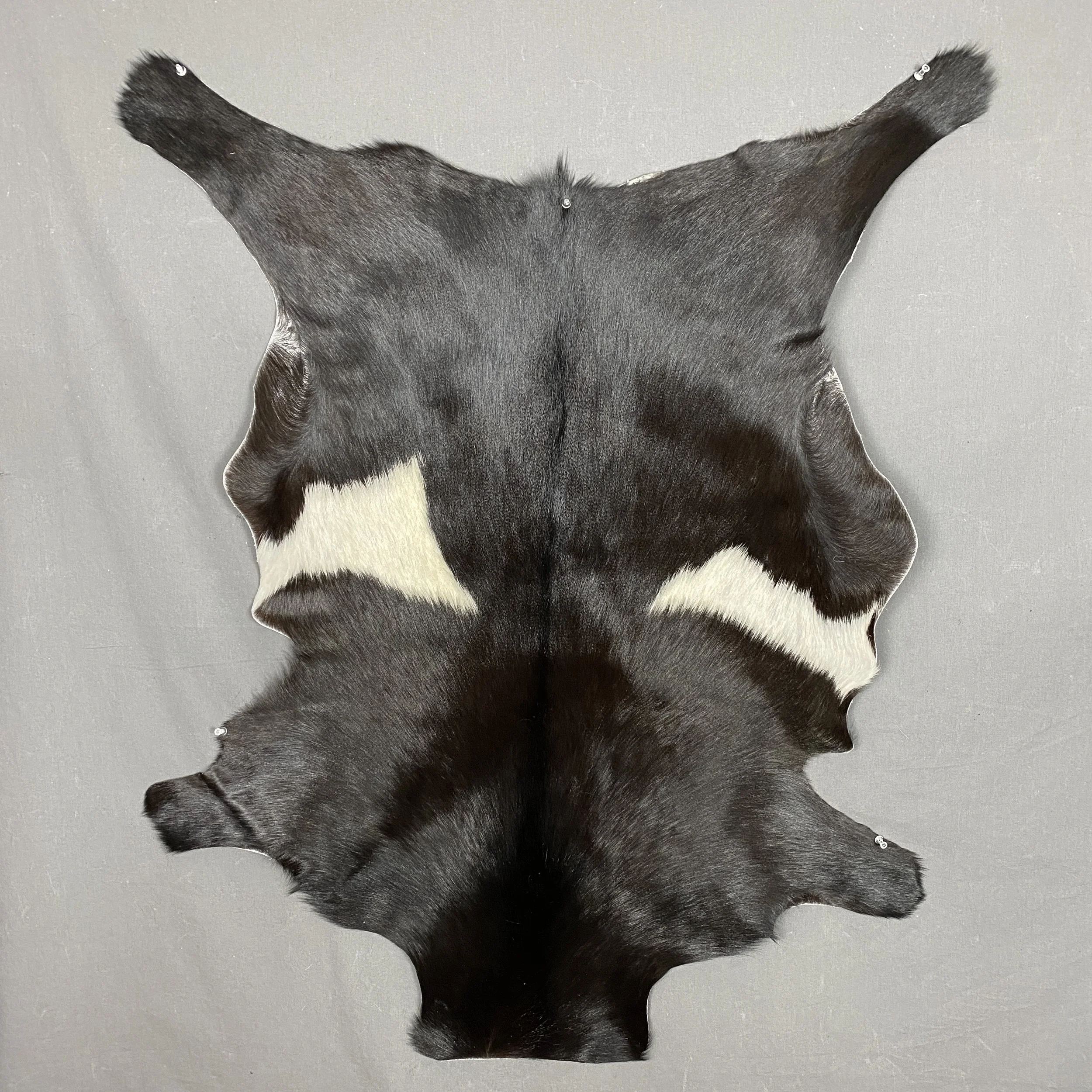 Goat Hides for Sale — Claw, Antler & Hide Co.