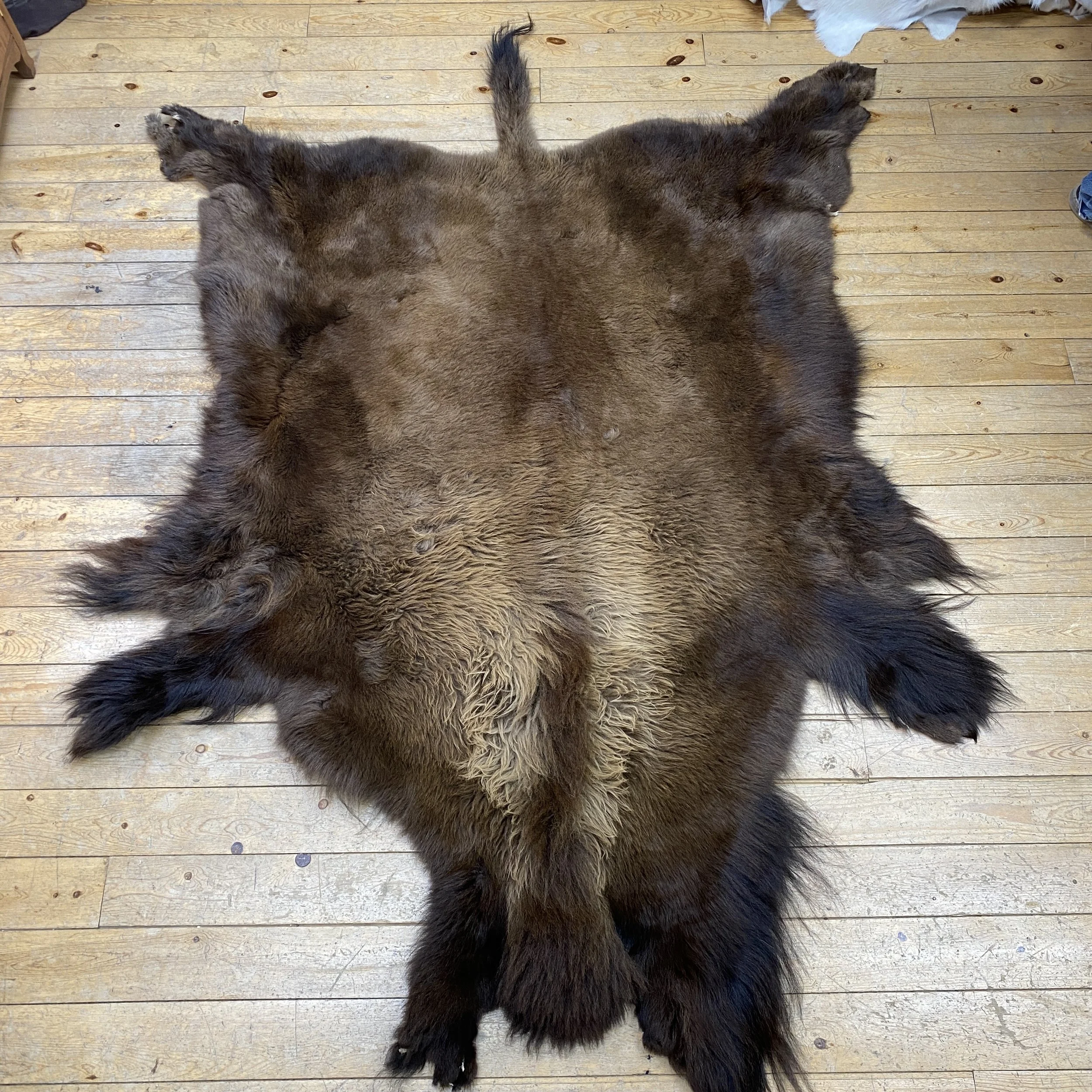 Buffalo Fur Hide Rugs Grades, Characteristics & Specifications — Claw, Antler & Hide Co.