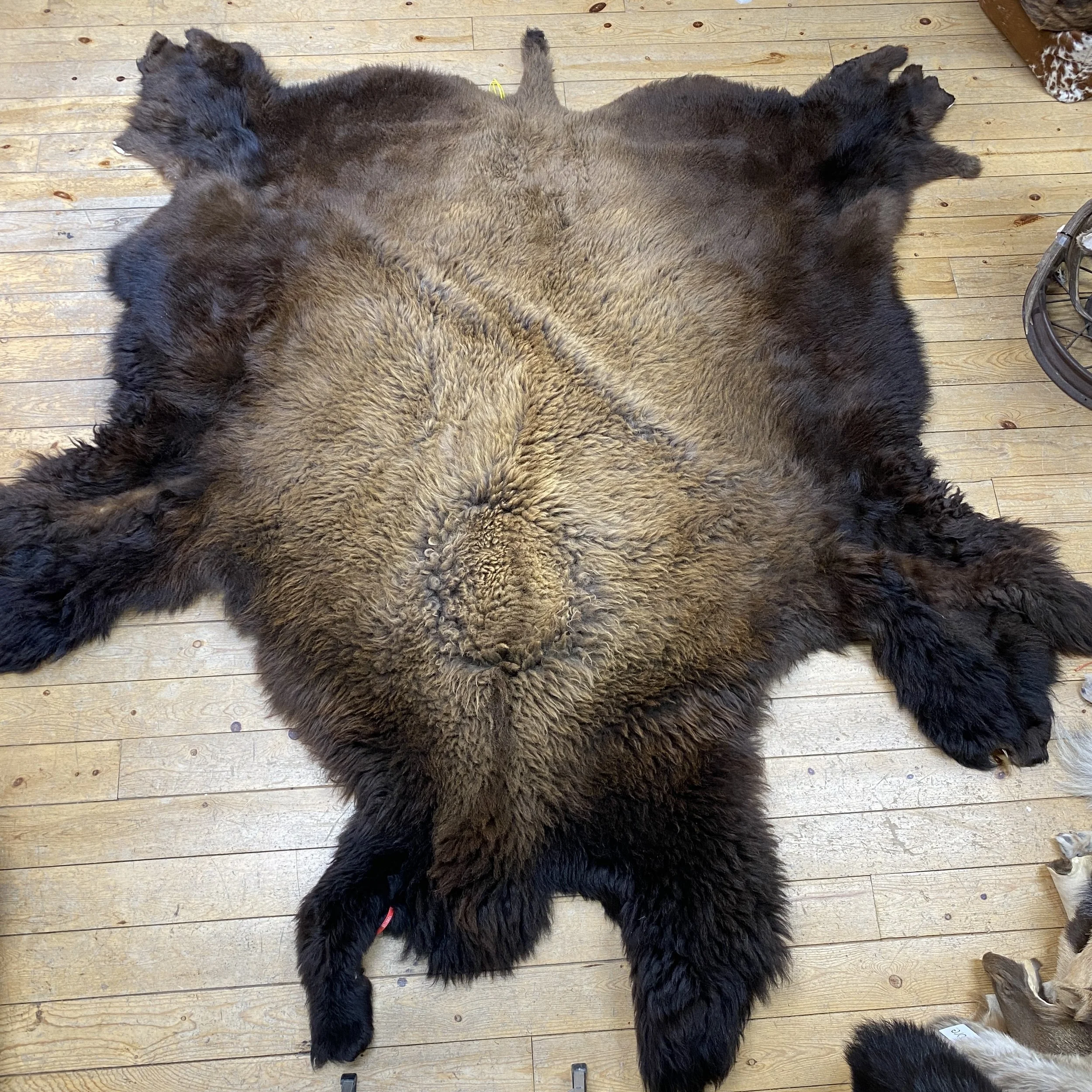 Buffalo Hides — Claw, Antler & Hide Co.