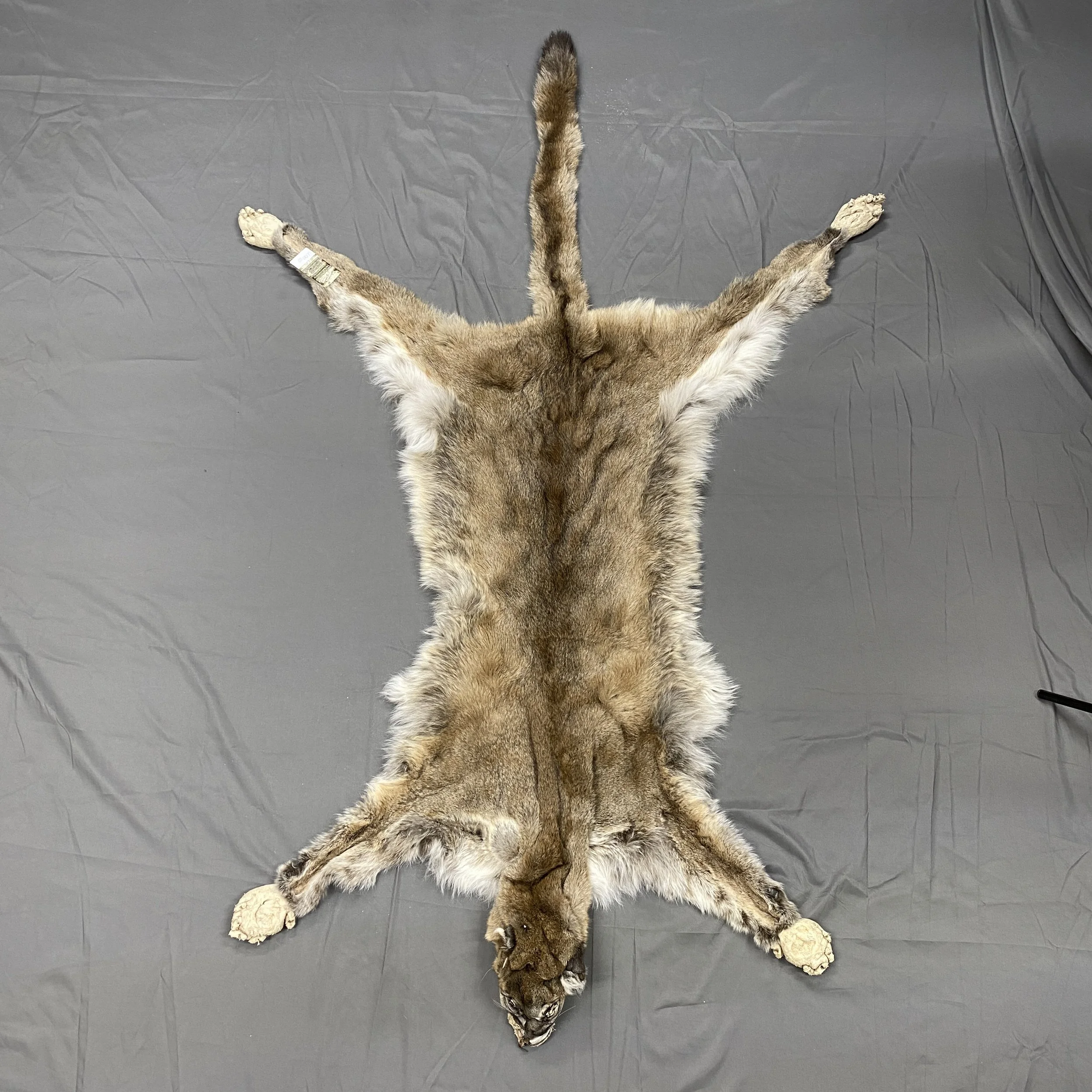 Cougar Hide SQ1206