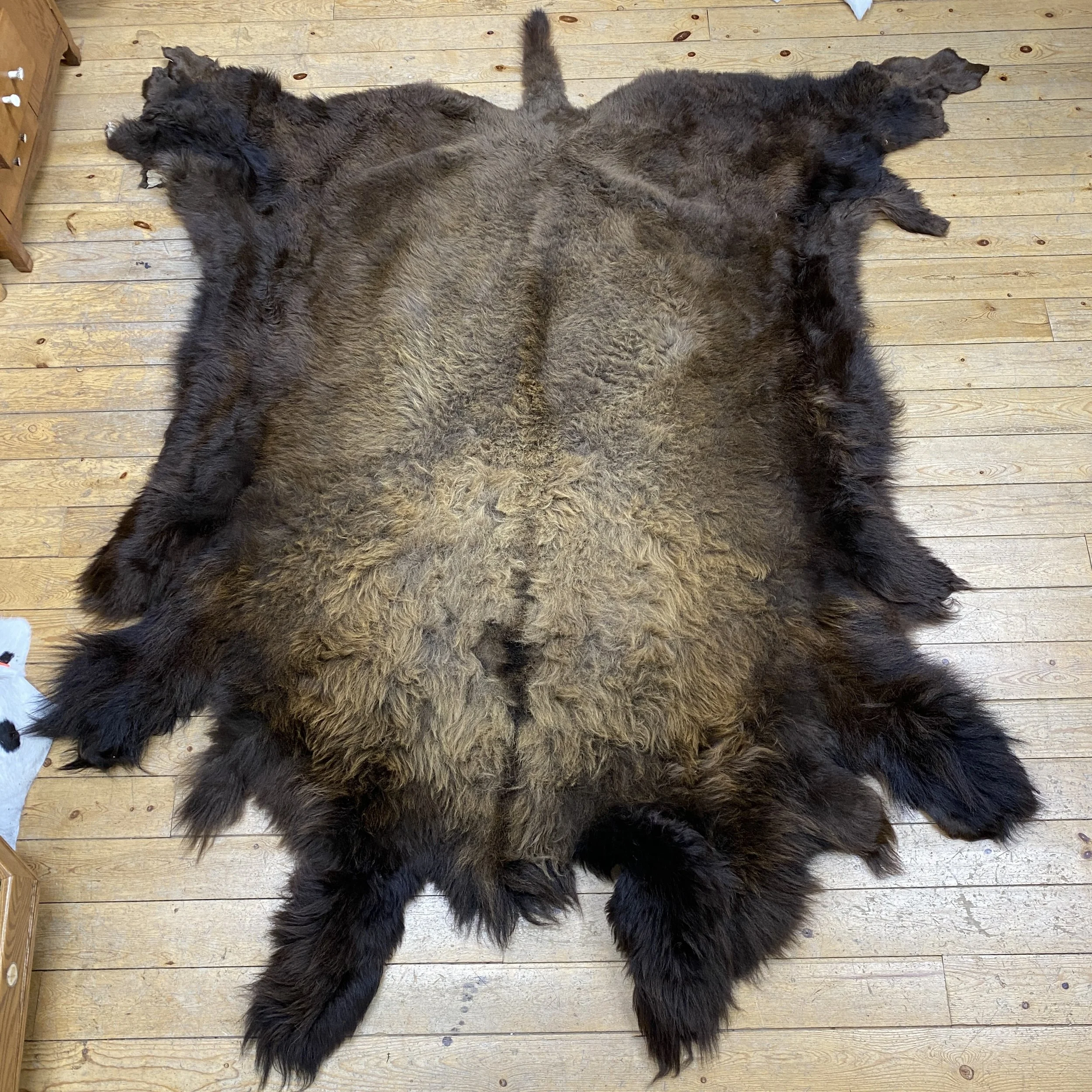 Buffalo Hide #9