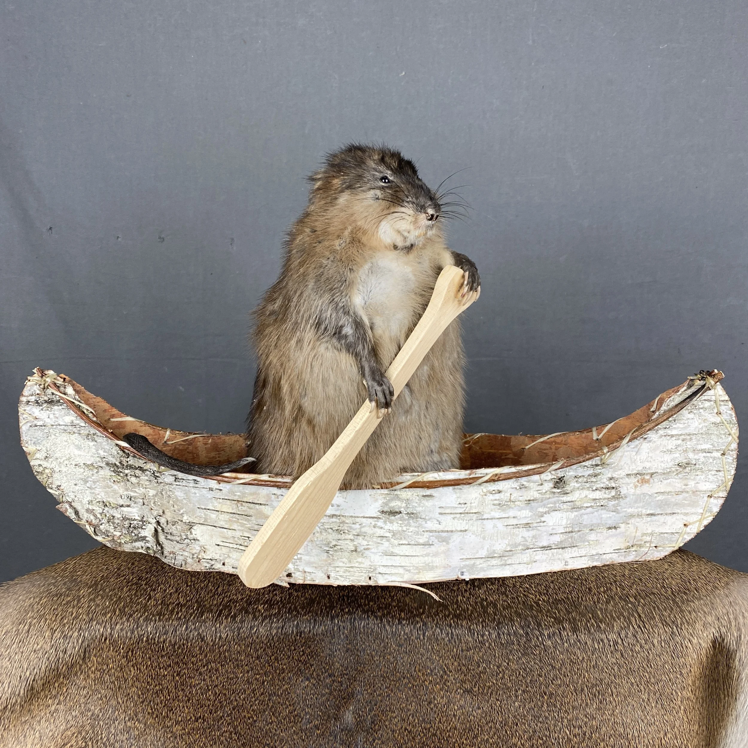 Muskrat Canoe Mount