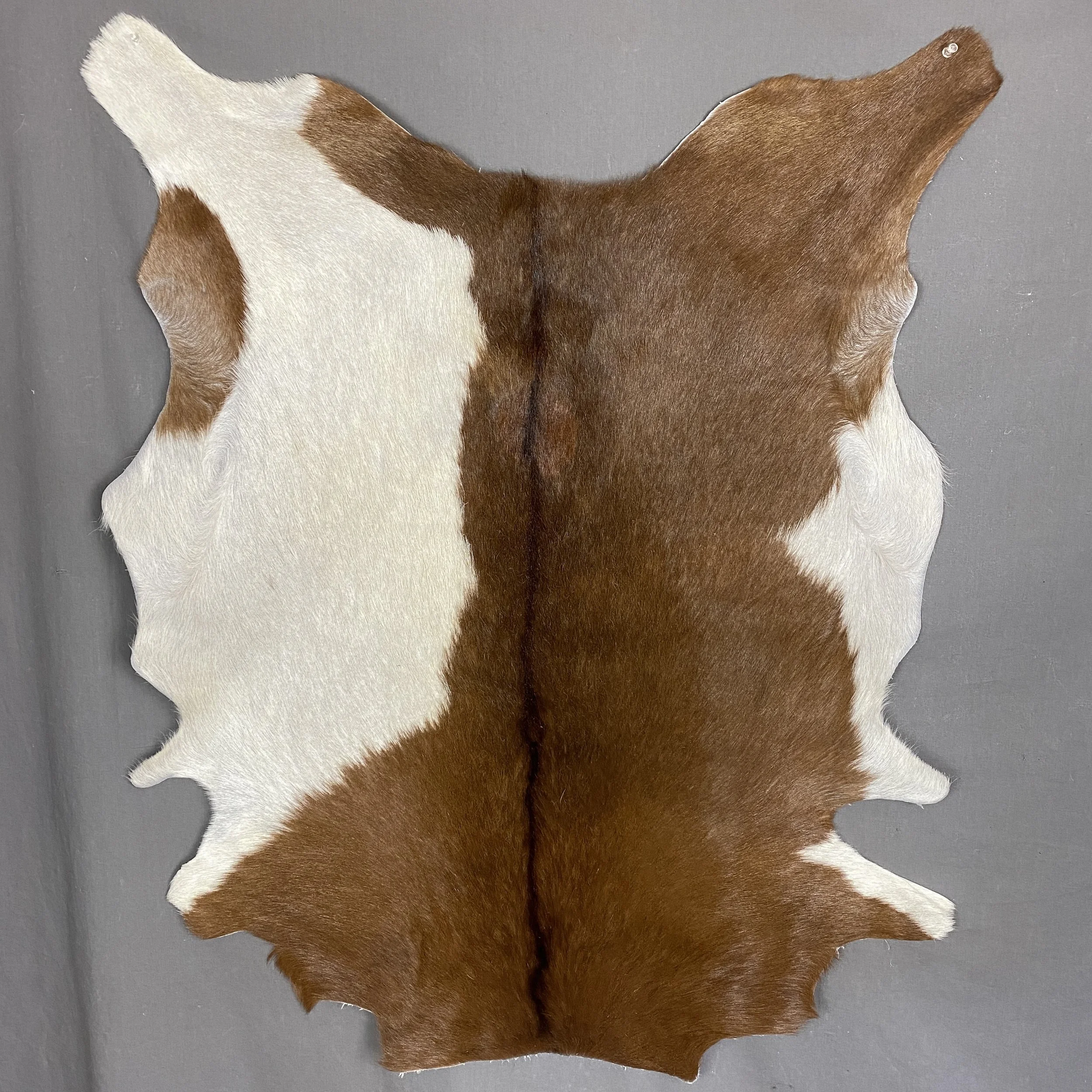 Goat Hide SQ4147 — Claw, Antler & Hide Co.