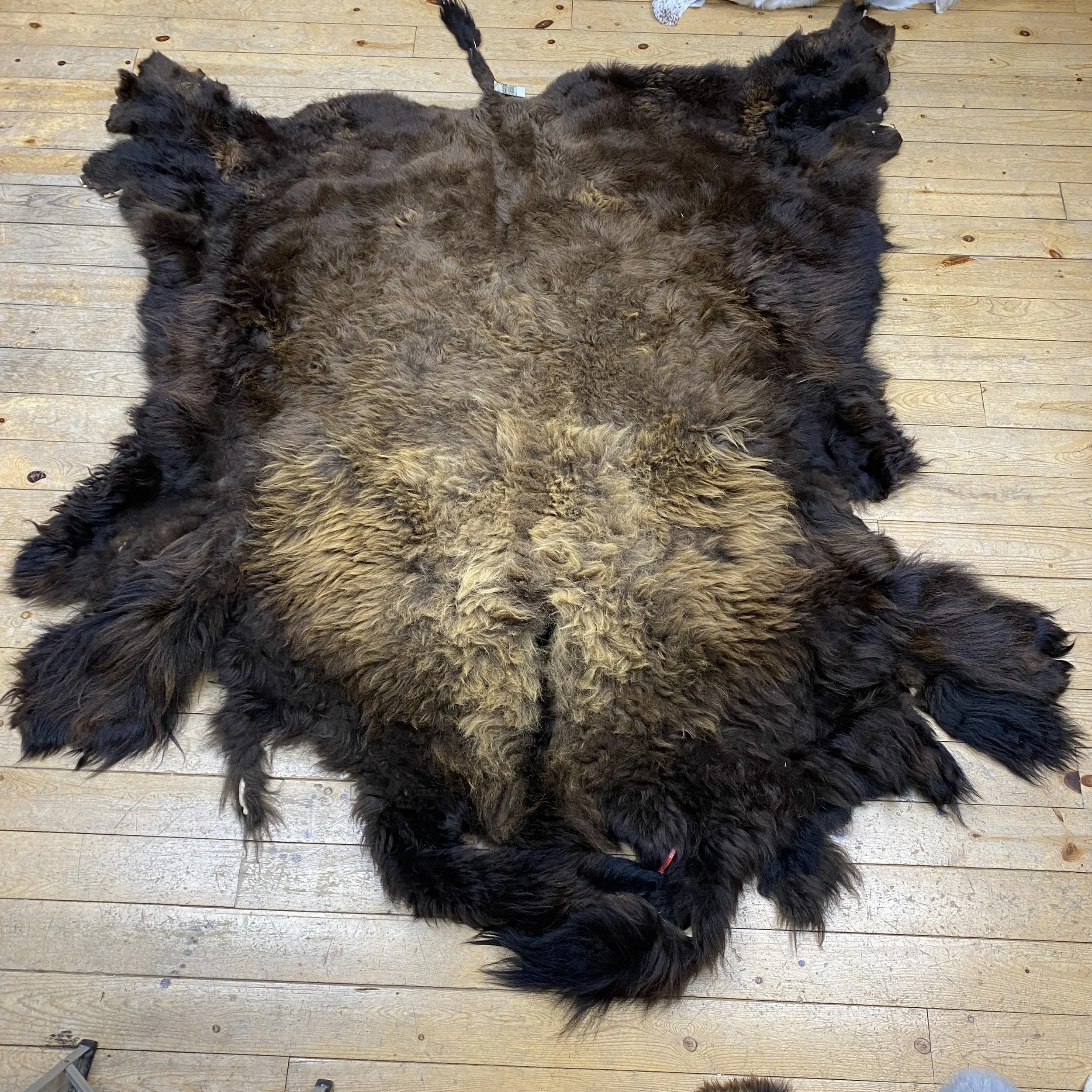 Buffalo Hides — Claw, Antler & Hide Co.