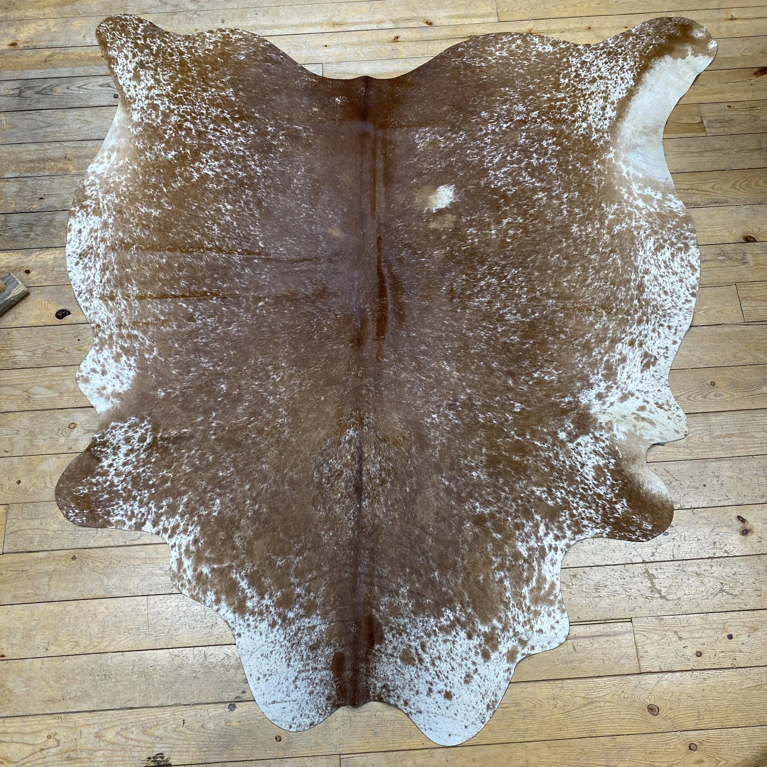 Cow Hide #7