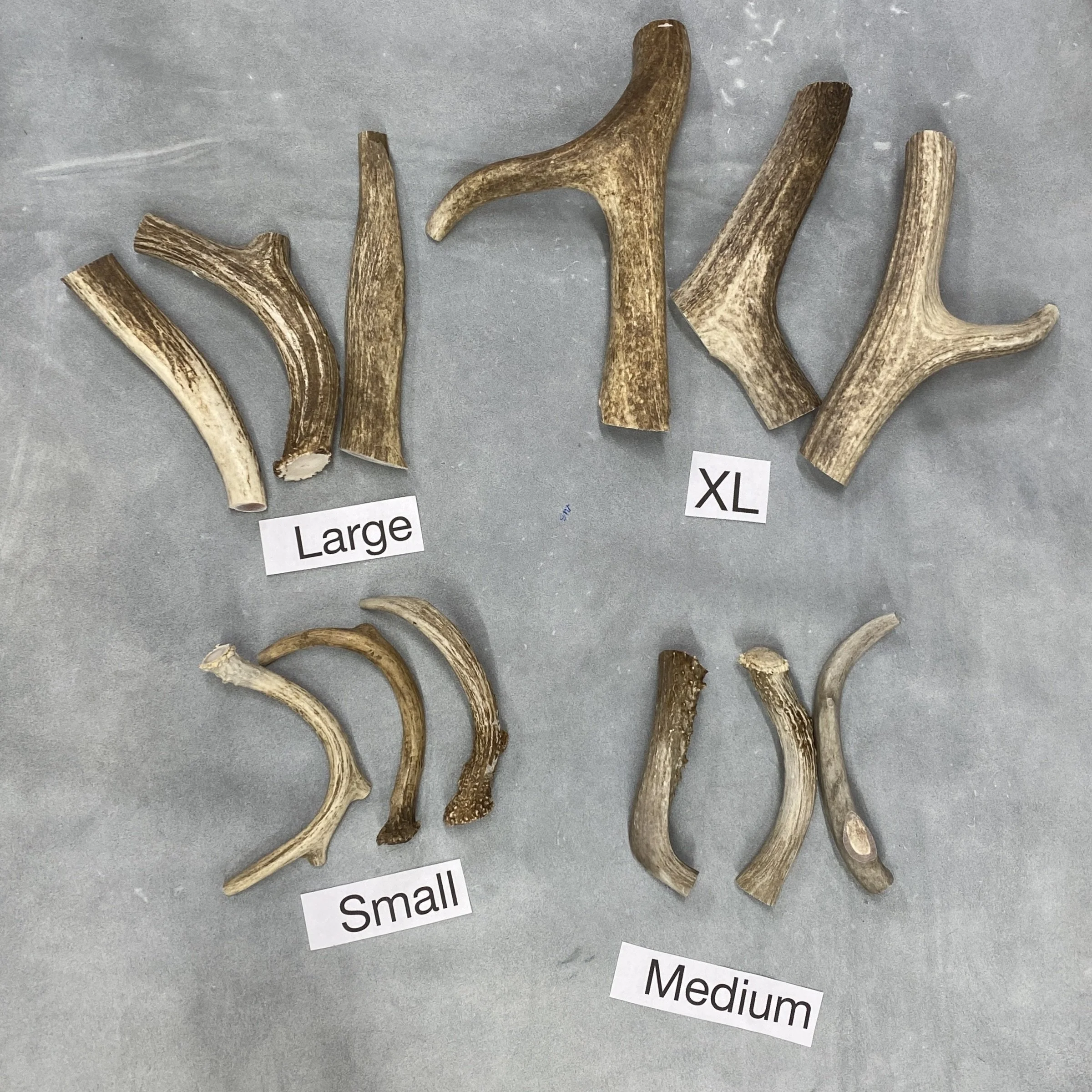 Deer and Elk Antler Dog Chew