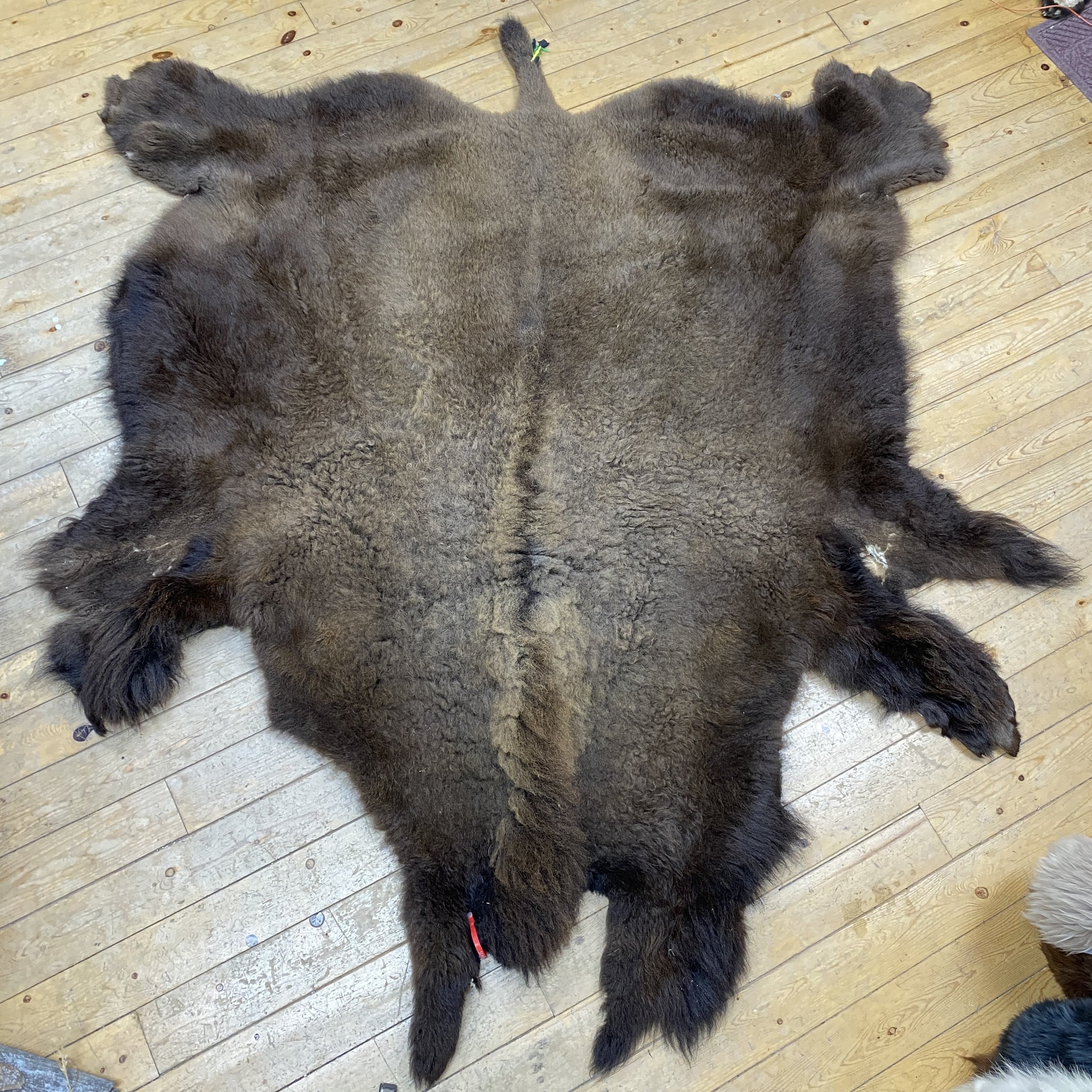 Bison hide