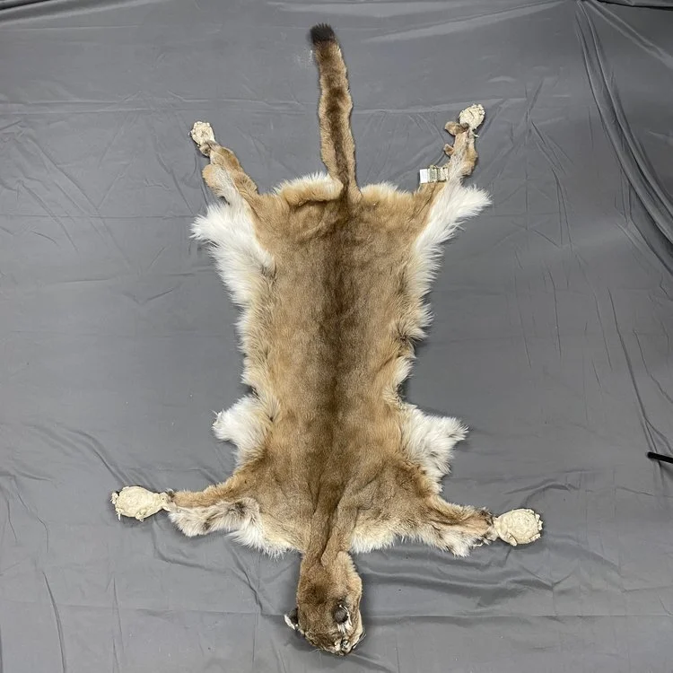 Cougar Hide