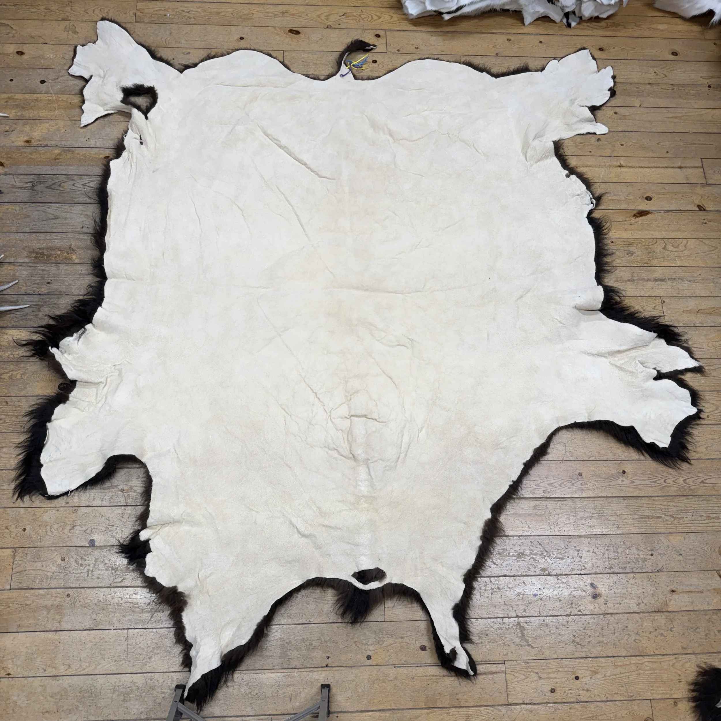 Buffalo Hide