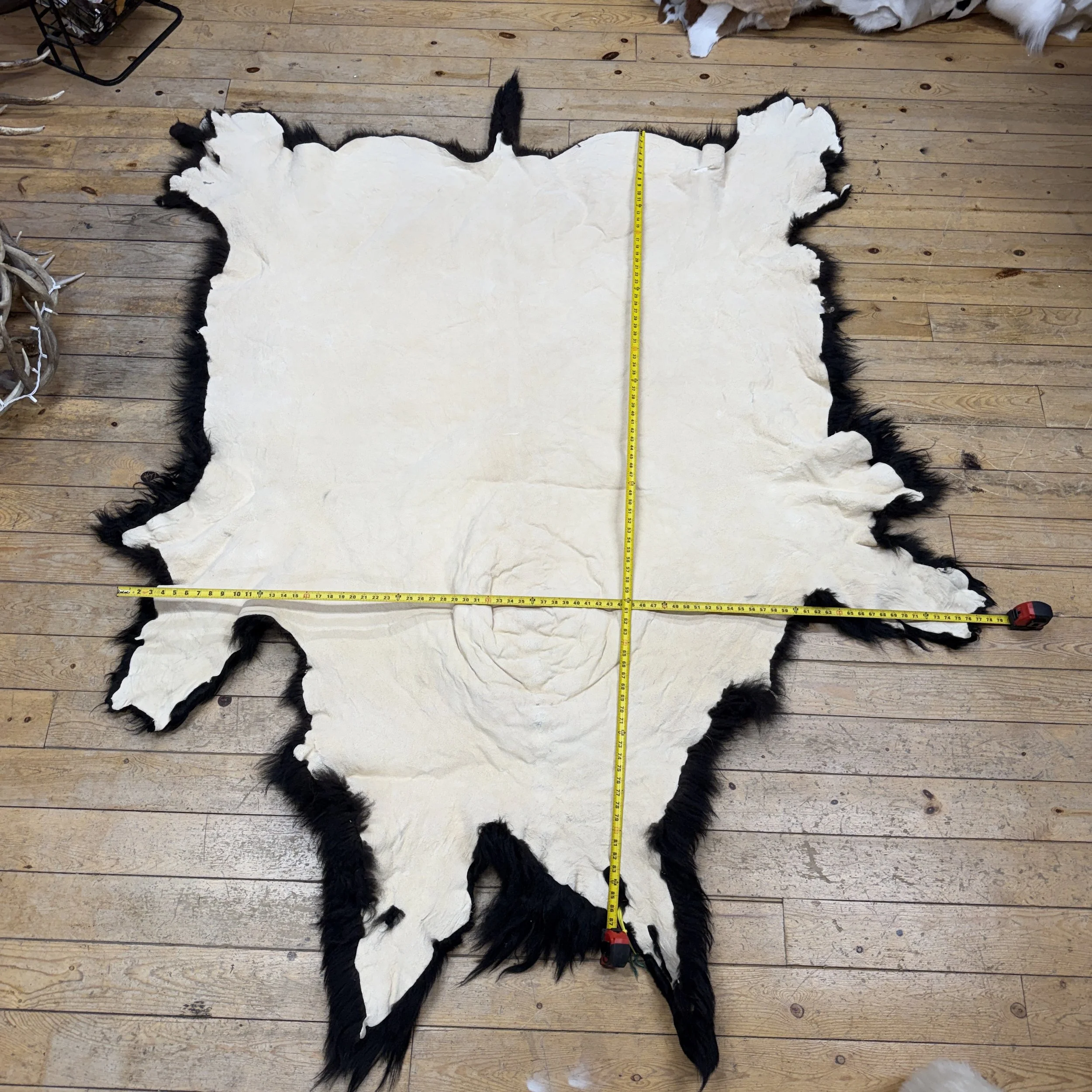 bison hide