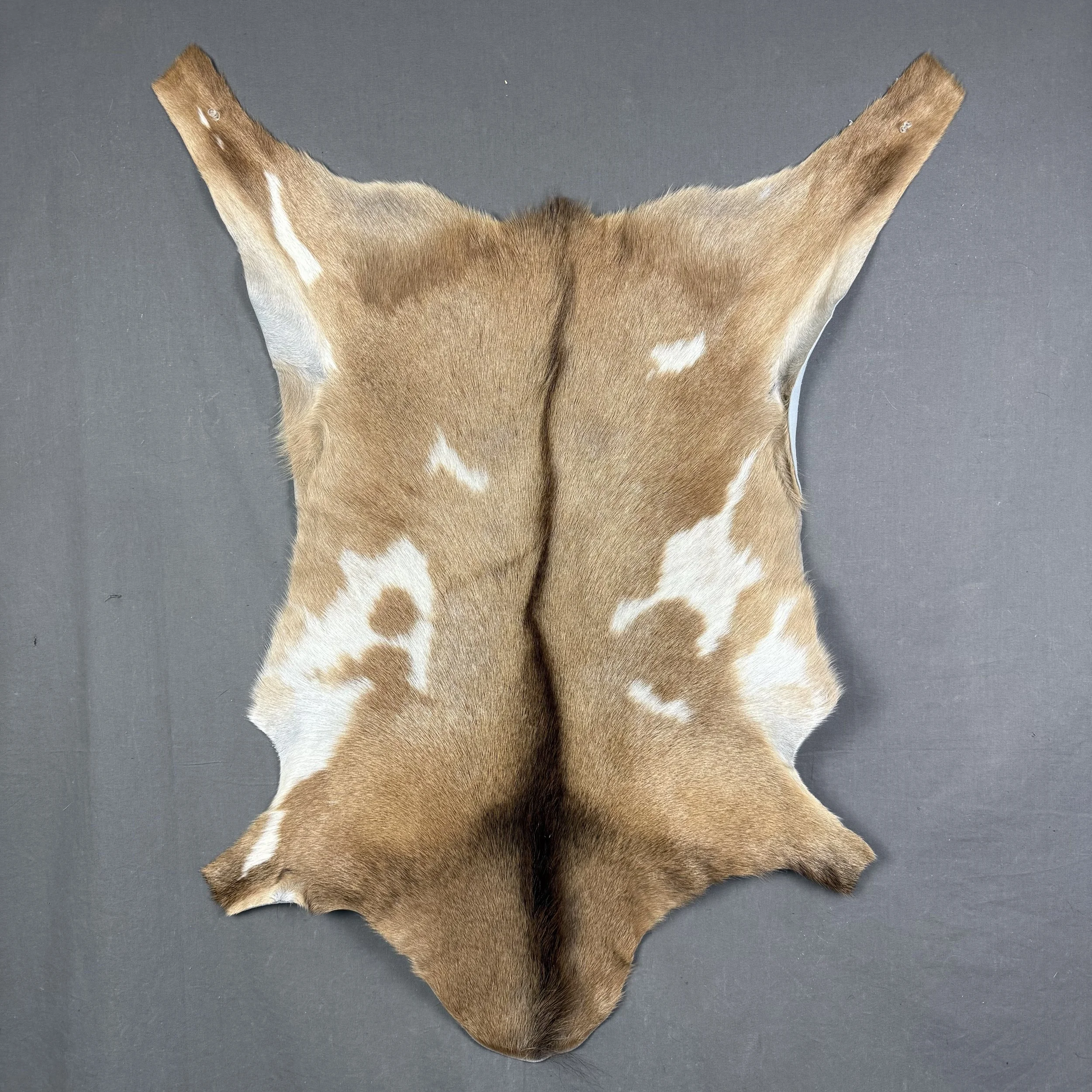 Goat Hide SQ4147