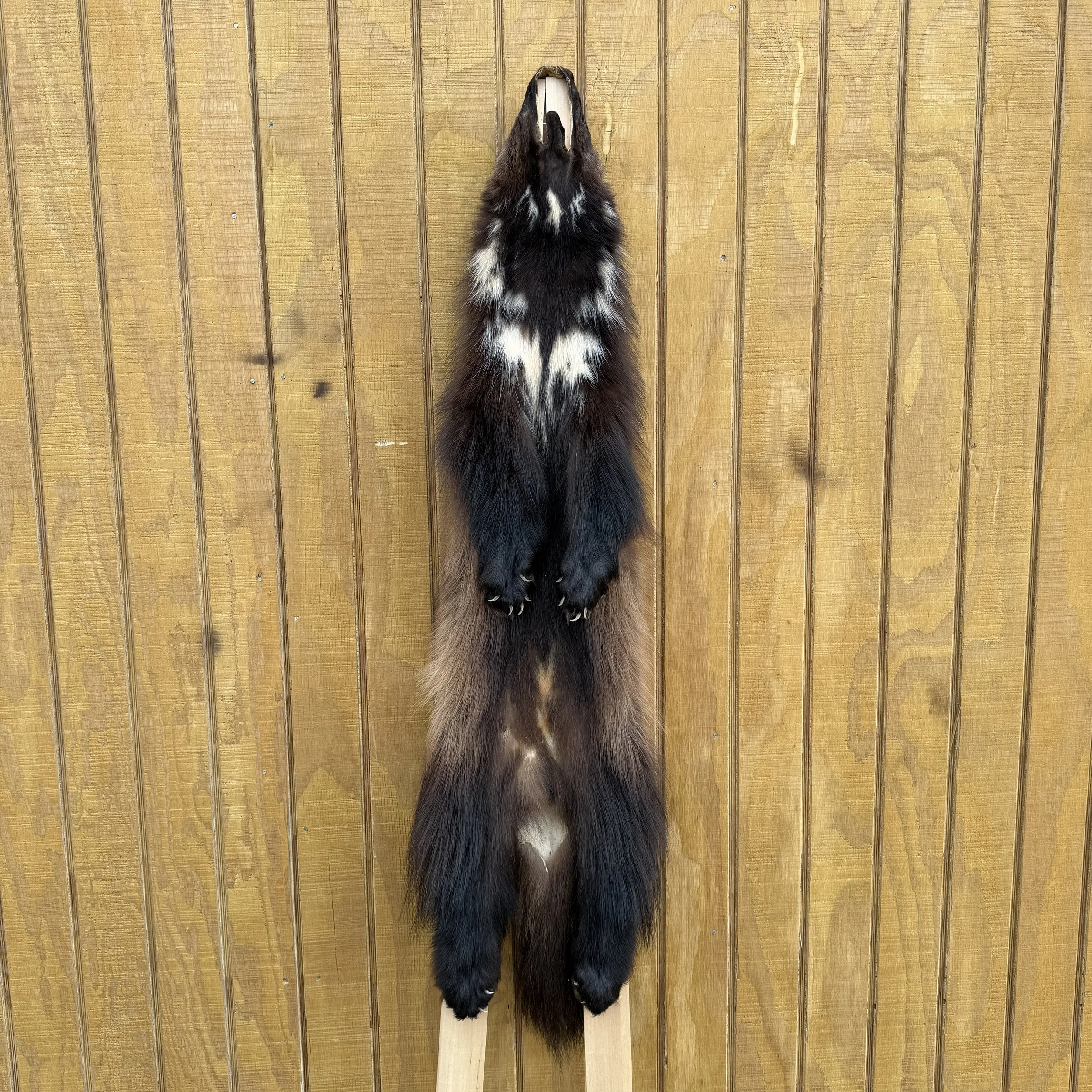 Wolverine pelt