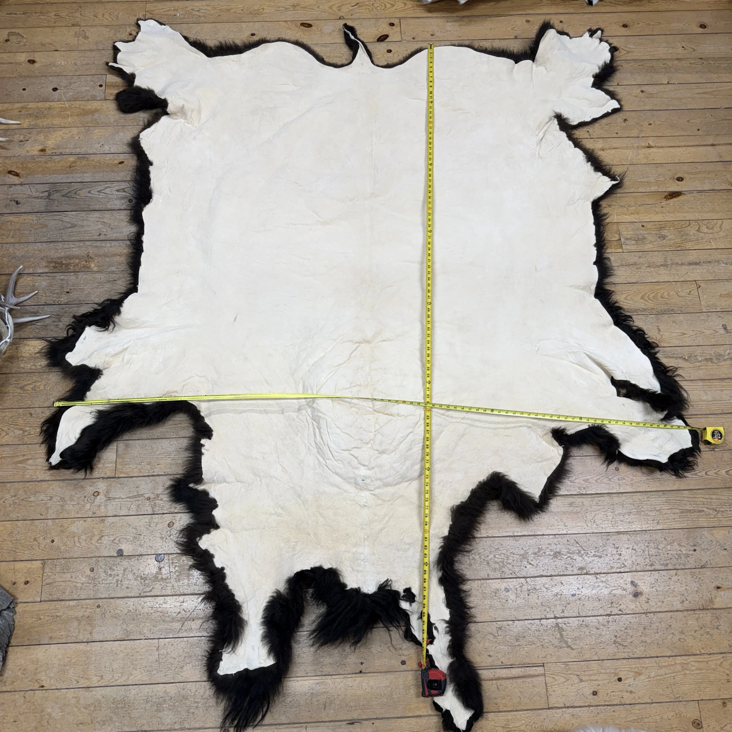 Buffalo Hide