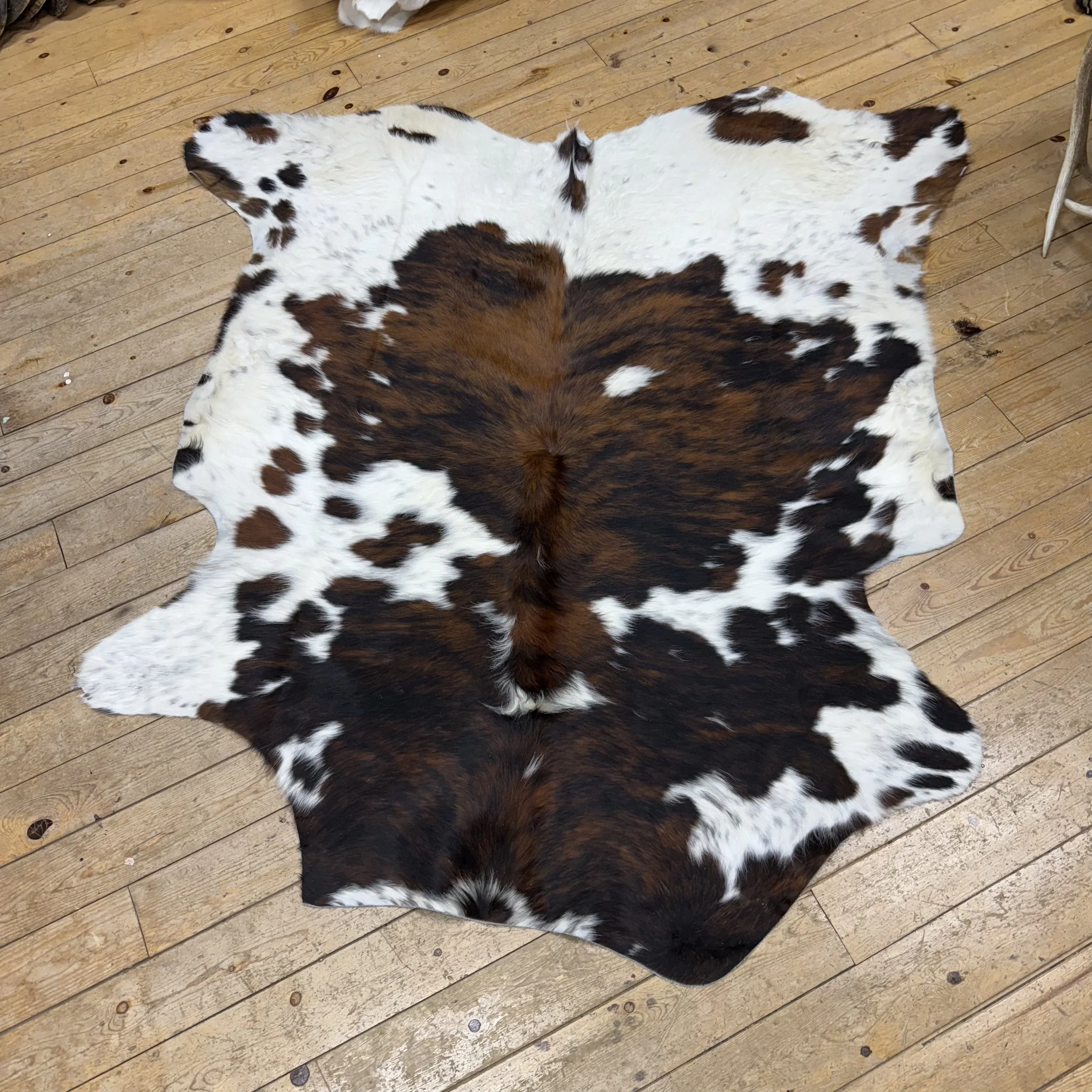 Cow Hide