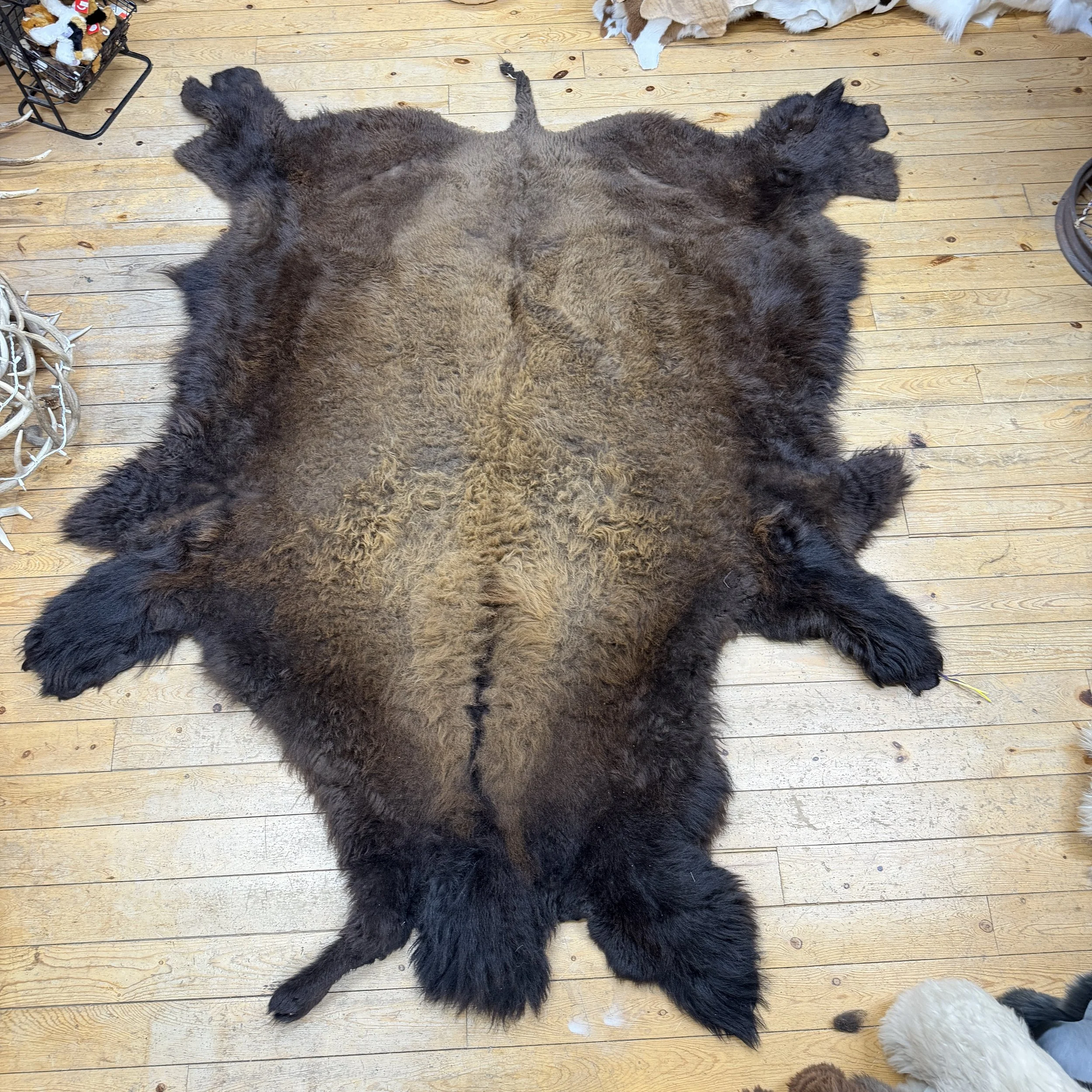 Buffalo Hide #2