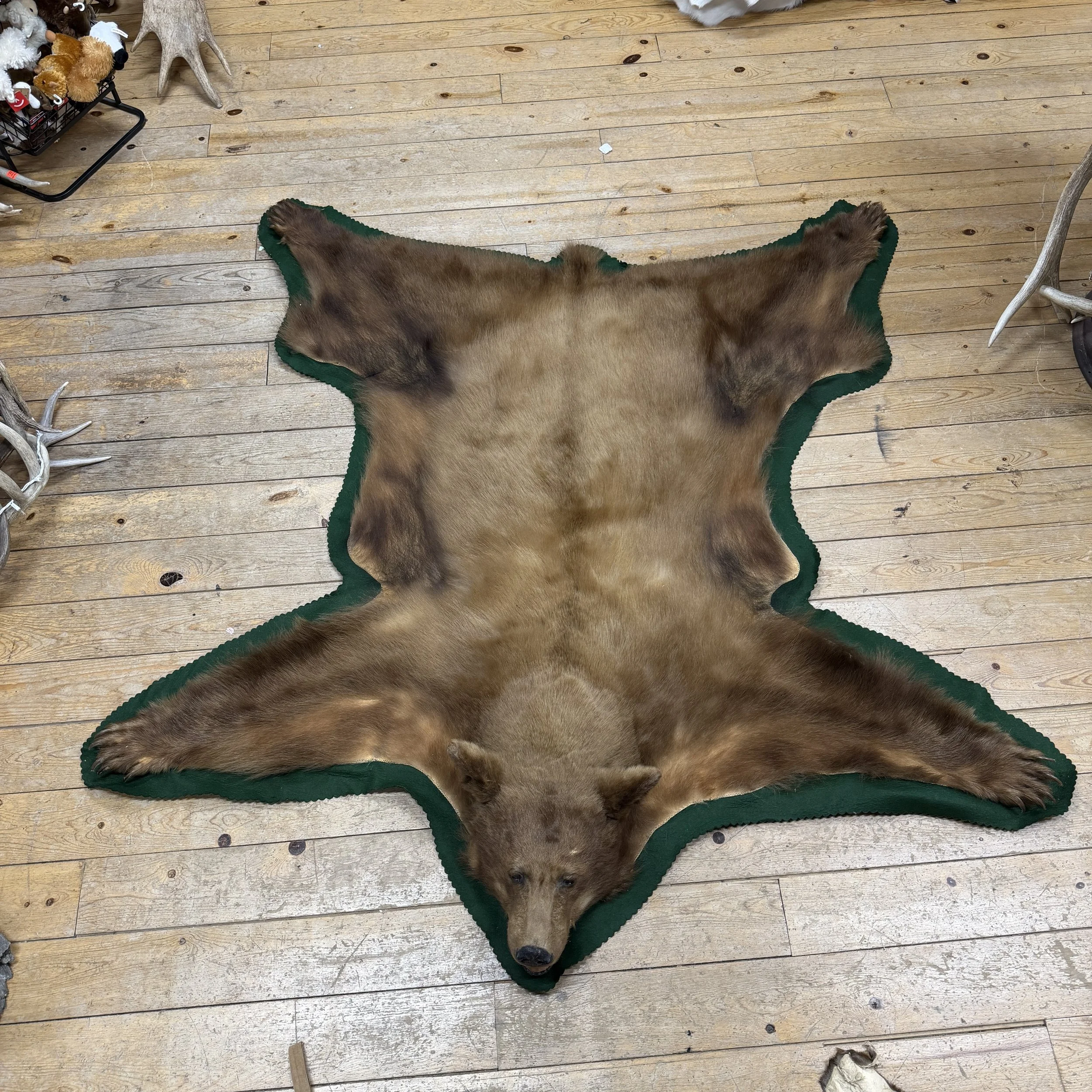 Black Bear Rug
