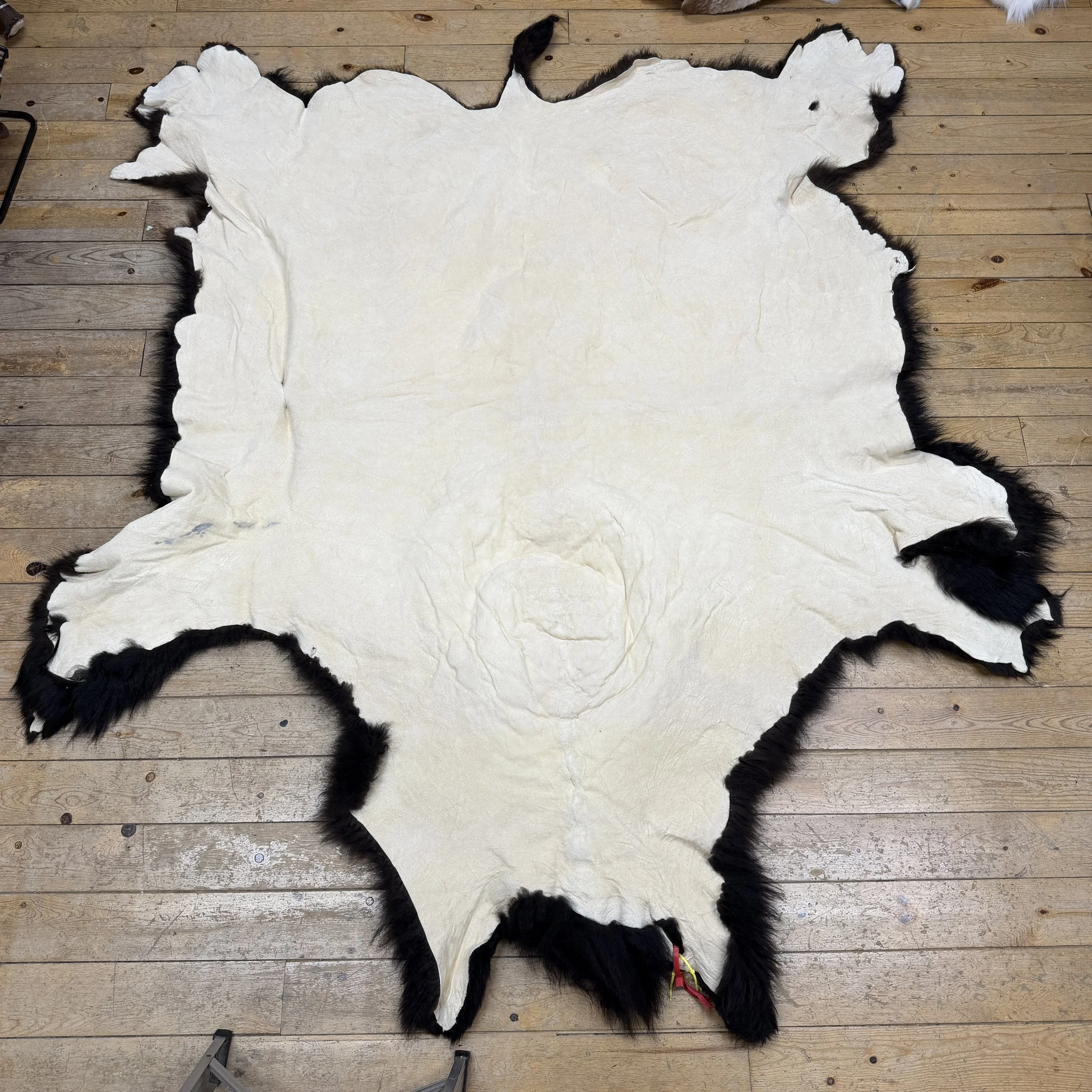 Buffalo Hide
