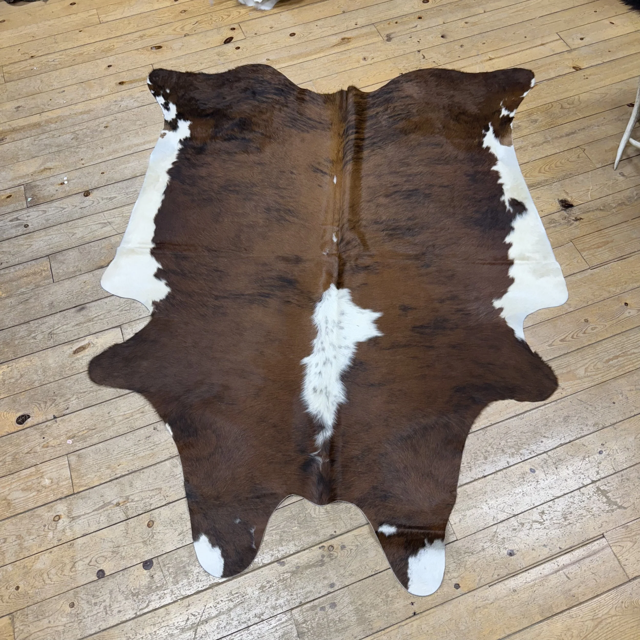 Cow Hide #29