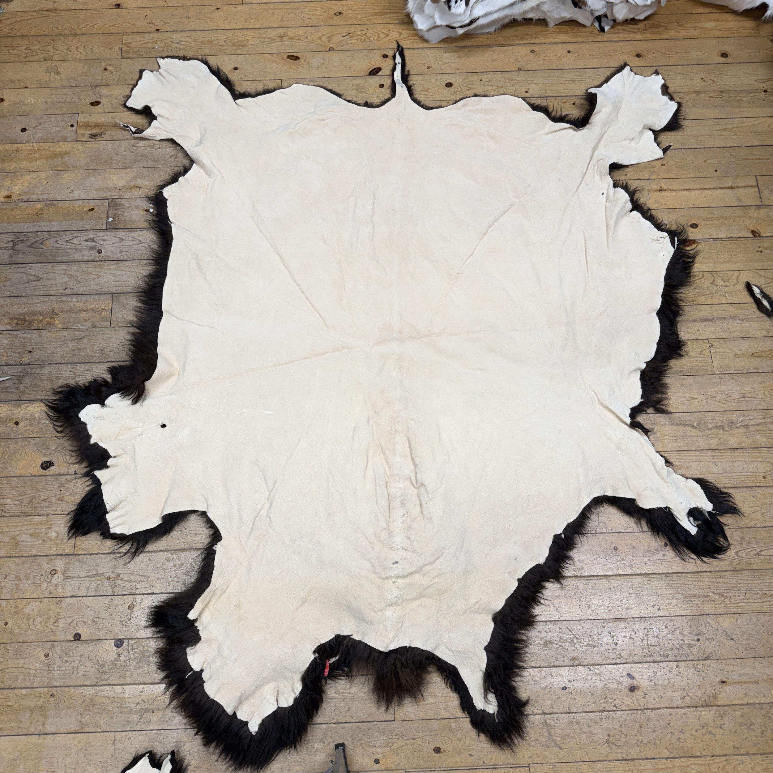 Buffalo Hide